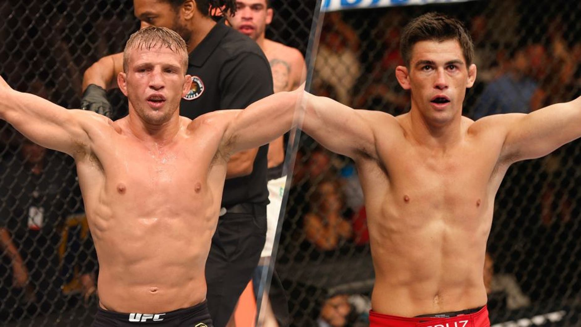 TJ Dillashaw reacts after his TKO victory over Renan Barao of Brazil in their UFC bantamweight championship bout during the UFC event at the United Center on July 25, 2015 in Chicago, Illinois. (Photo by Jeff Bottari/Zuffa LLC/Zuffa LLC via Getty Images) Dominick Cruz celebrates after his victory over Takeya Mizugaki in their bantamweight fight during the UFC 178 event inside the MGM Grand Garden Arena on September 27, 2014 in Las Vegas, Nevada. (Photo by Josh Hedges/Zuffa LLC/Zuffa LLC via Getty Images)