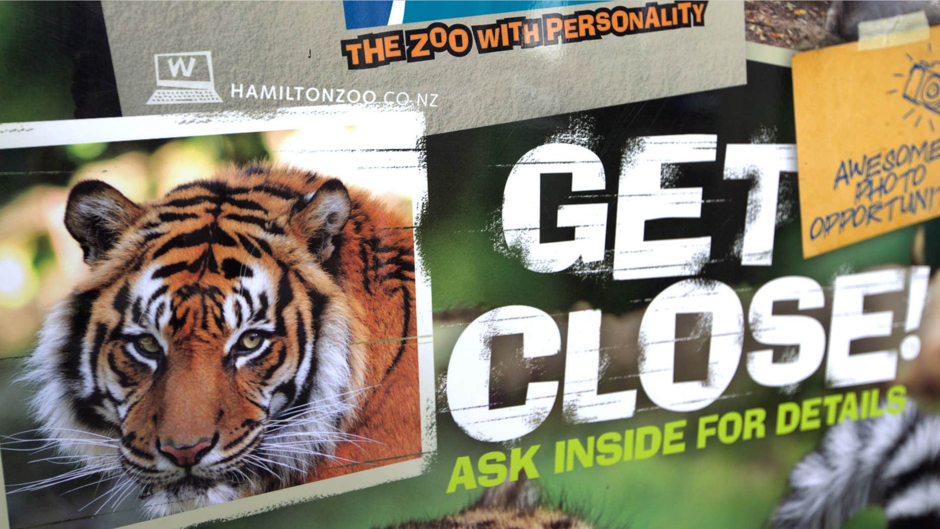 Sept. 20, 2015: A tiger advertising sign is seen outside Hamilton Zoo after a female zookeeper was killed by one of the tigers at the zoo in Hamilton, New Zealand.