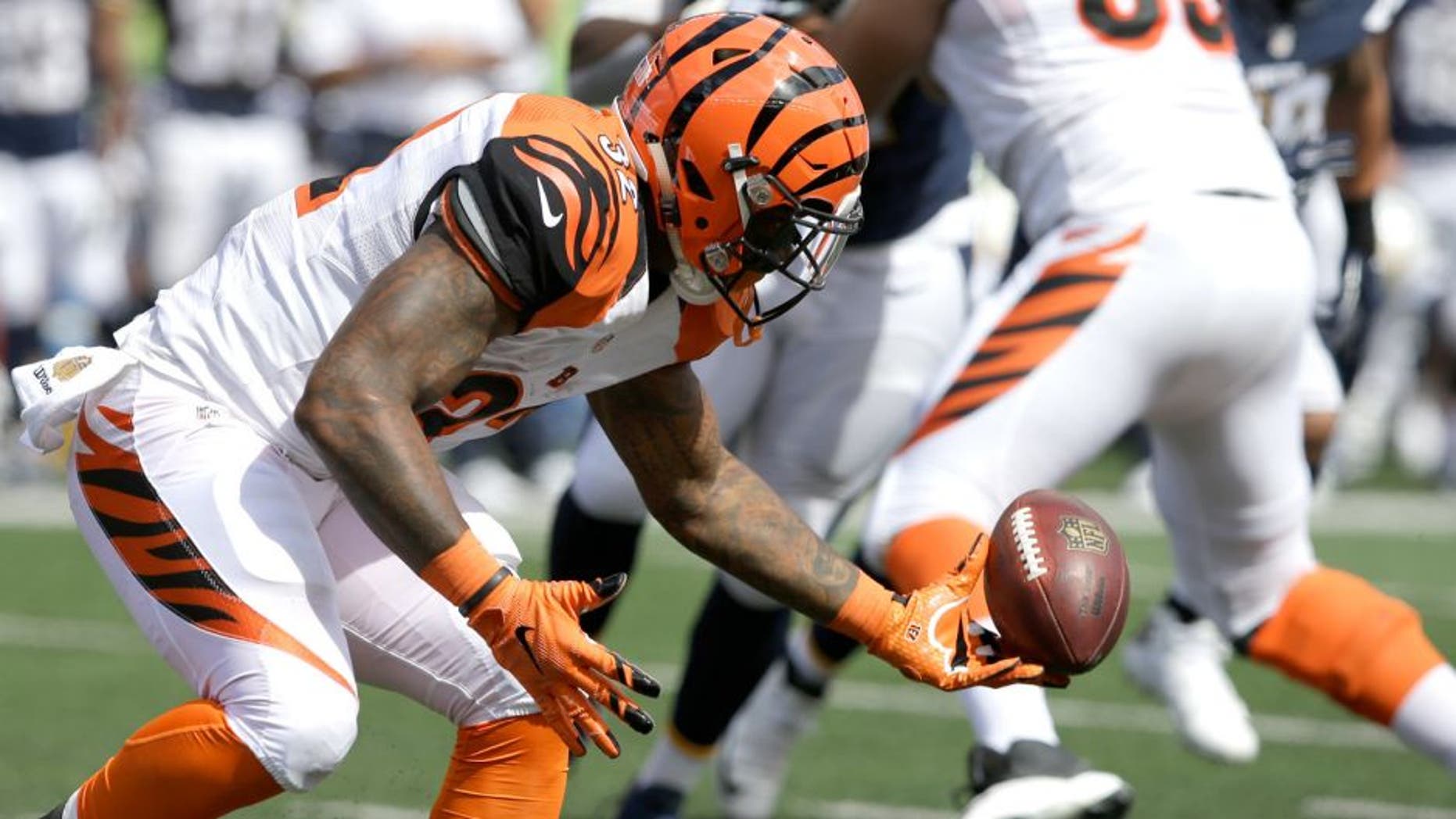 Cincinnati Bengals running back Jeremy Hill fumbles the ball in the second half of an NFL football game against the San Diego Chargers, Sunday, Sept. 20, 2015, in Cincinnati. (AP Photo/Darron Cummings)