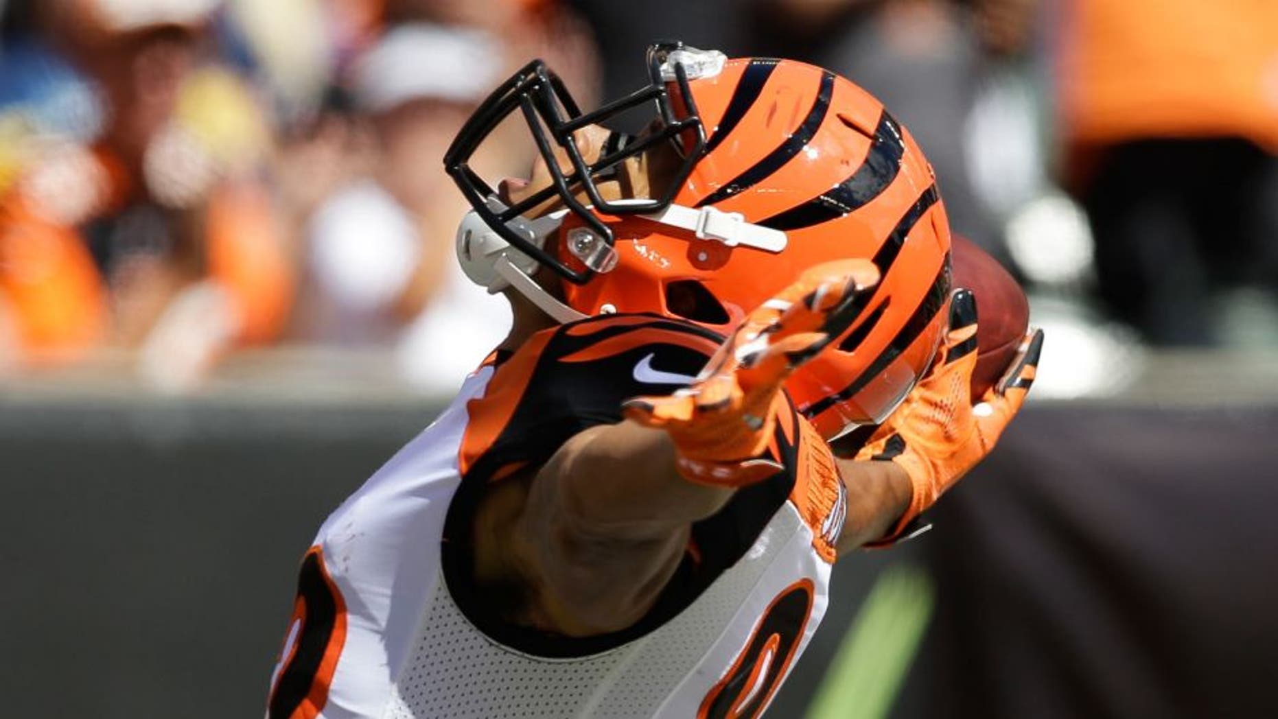 Cincinnati Bengals wide receiver Marvin Jones reacts after scoring a touchdown in the first half of an NFL football game against the San Diego Chargers, Sunday, Sept. 20, 2015, in Cincinnati. (AP Photo/Darron Cummings)