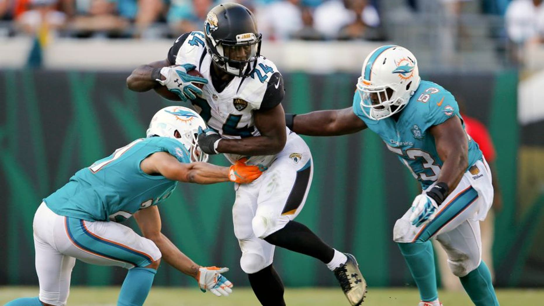 Jacksonville Jaguars running back T.J. Yeldon, center, runs between Miami Dolphins cornerback Brent Grimes, left, and outside linebacker Jelani Jenkins (53) during the second half of an NFL football game in Jacksonville, Fla., Sunday, Sept. 20, 2015. (AP Photo/Stephen B. Morton)