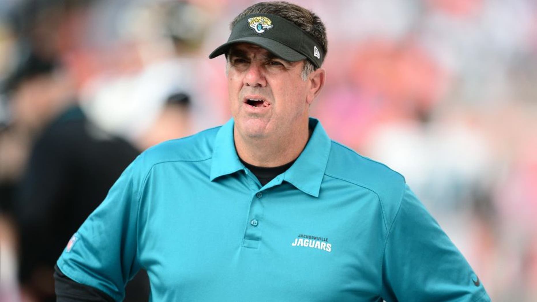 Oct 13, 2013; Denver, CO, USA; Jacksonville Jaguars defensive coordinator Bob Babich during the game against the Denver Broncos at Sports Authority Field at Mile High. The Broncos defeated the Jaguars 35-19. Mandatory Credit: Ron Chenoy-USA TODAY Sports