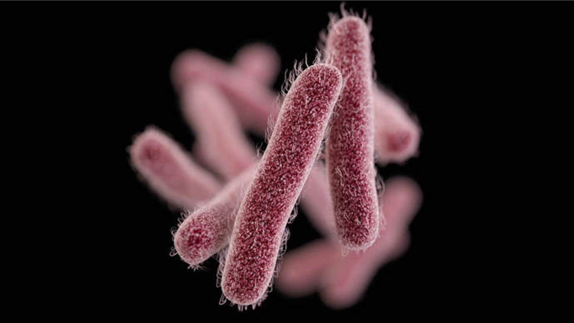 Shigellosis is an infectious disease caused by a group of bacteria called Shigella. Most who are infected with Shigella develop diarrhea, fever, and stomach cramps starting a day or two after they are exposed to the bacteria.