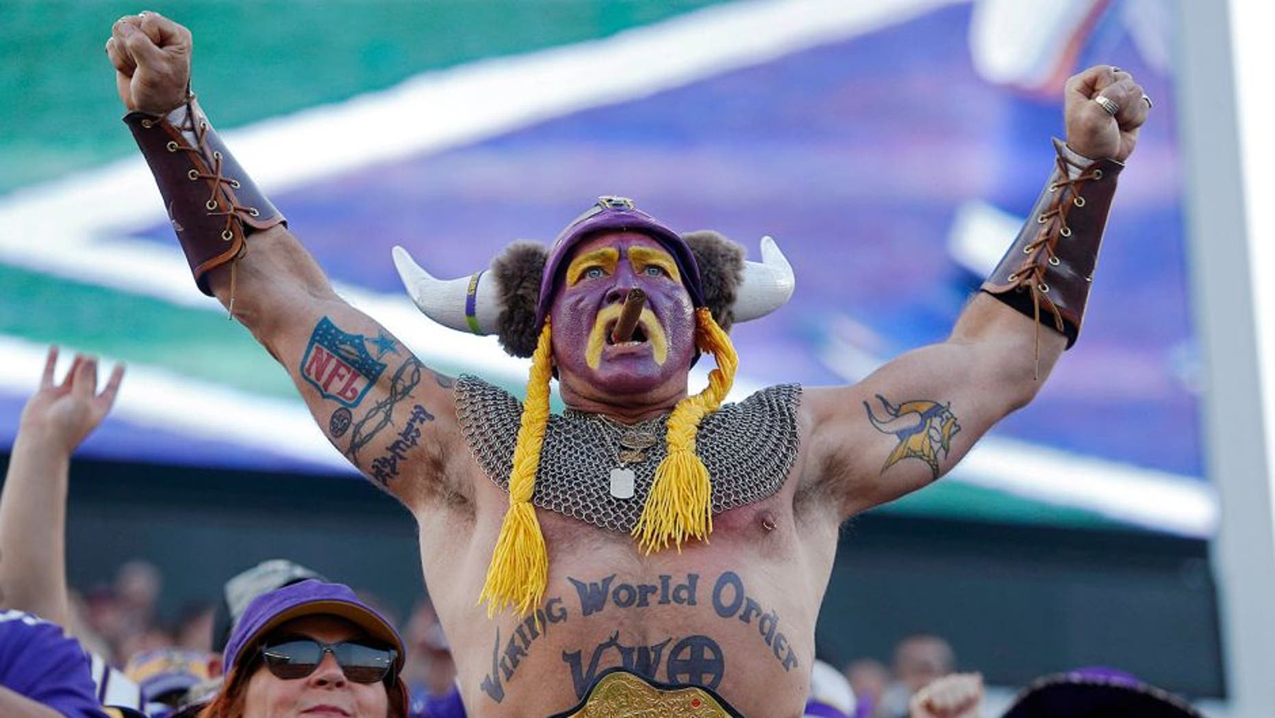 Sep 28, 2014; Minneapolis, MN, USA; Minnesota Vikings fan Syd Davy cheers for his team as they play the Atlanta Falcons at TCF Bank Stadium. The Vikings win 41-28. Mandatory Credit: Bruce Kluckhohn-USA TODAY Sports