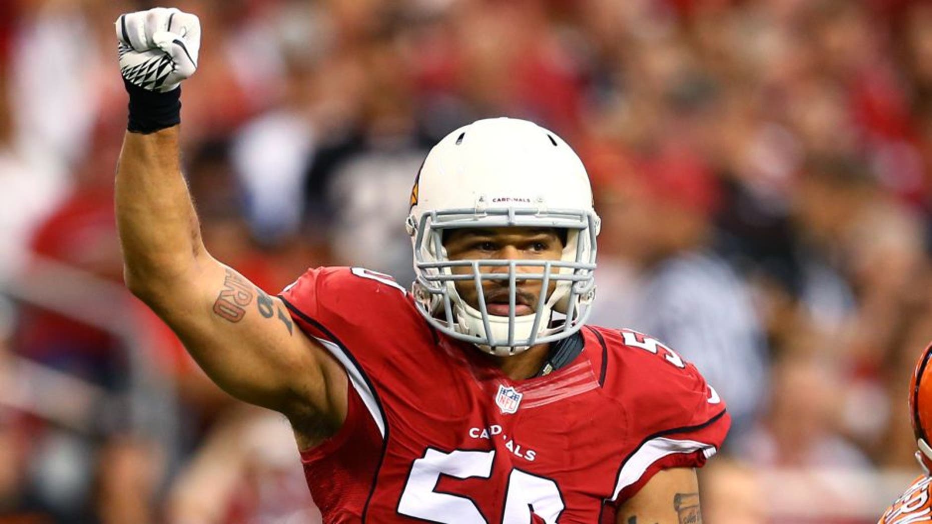 Aug 24, 2014; Glendale, AZ, USA; Arizona Cardinals linebacker Larry Foote (50) reacts against the Cincinnati Bengals at University of Phoenix Stadium. Mandatory Credit: Mark J. Rebilas-USA TODAY Sports