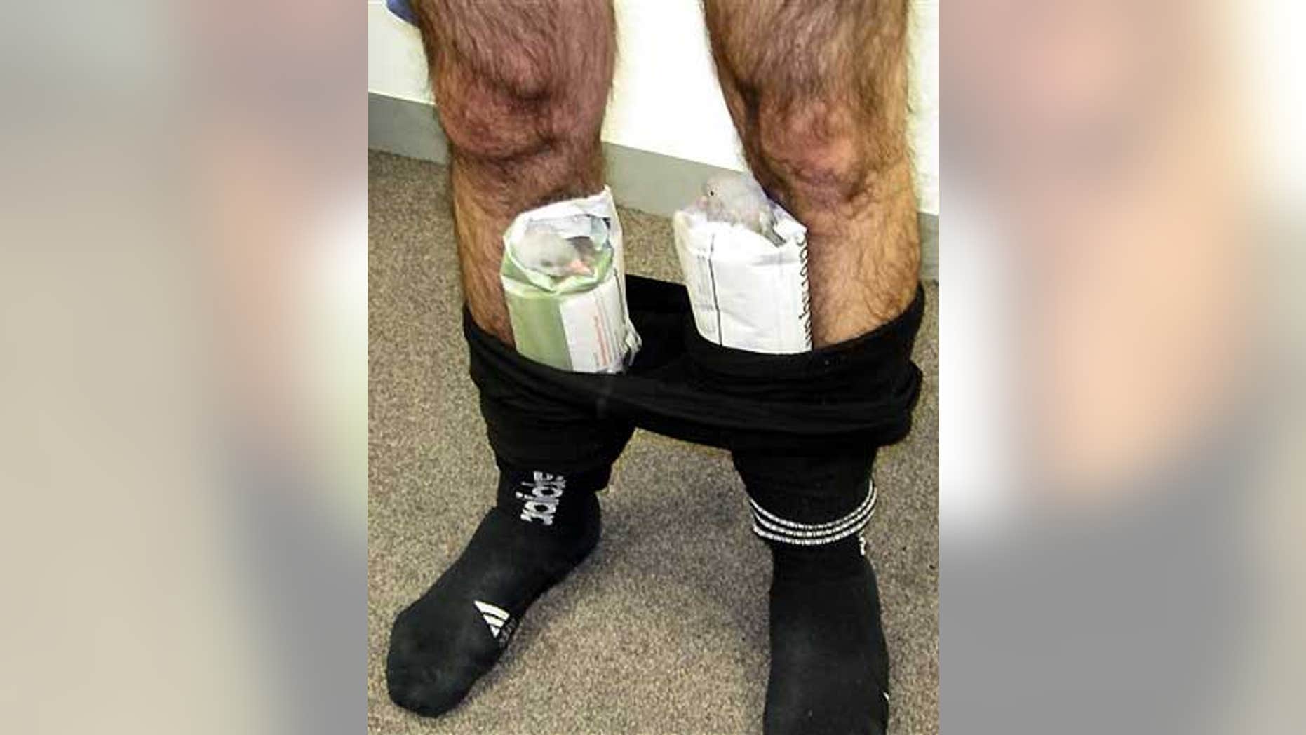 Feb. 1: An Australian man was caught with two pigeons hidden in his pants on an international flight from Dubai to Melbourne, Australia.