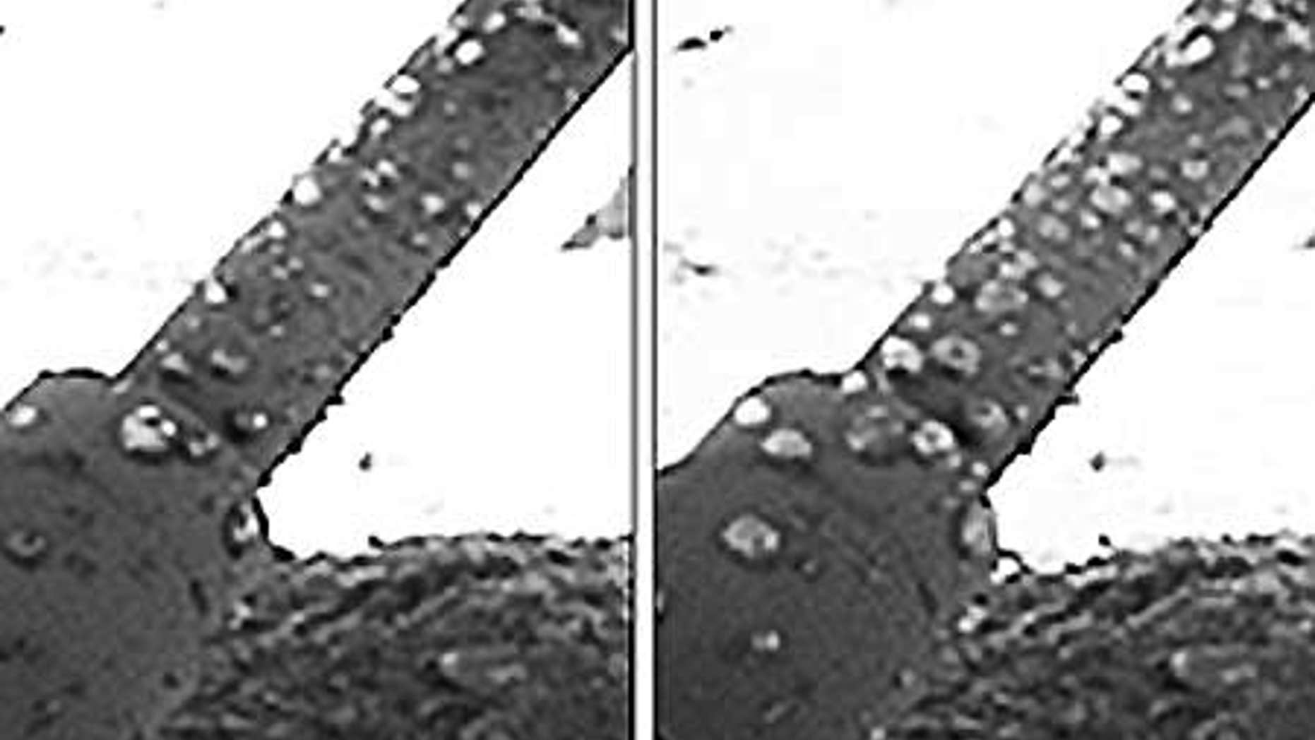 Droplets seen condensing on the Phoenix lander on Mars could be water.