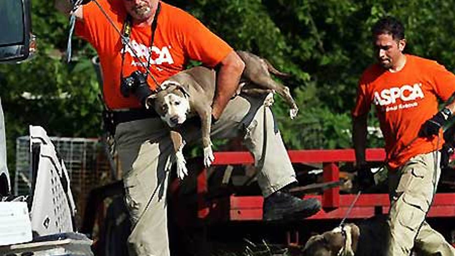 July 8: The Humane Society of Missouri says it would welcome help as it shelters about 300 dogs that were seized in raids of dogfighting operations.