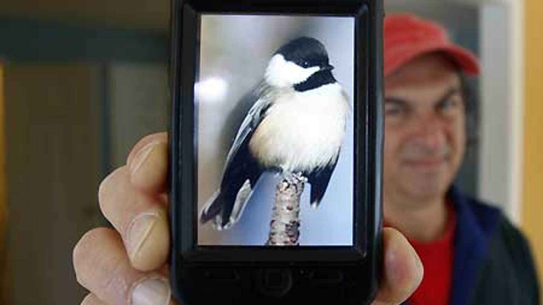 Dec. 8: Jory Langner shows off the BirdsEye application on his iPhone in Delmar, N.Y.