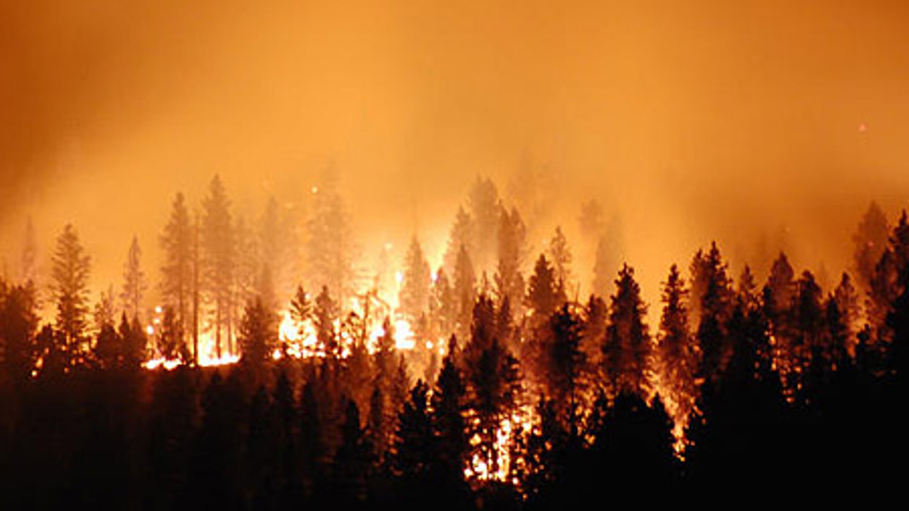 We need to handle the financial crisis like it's a forest fire