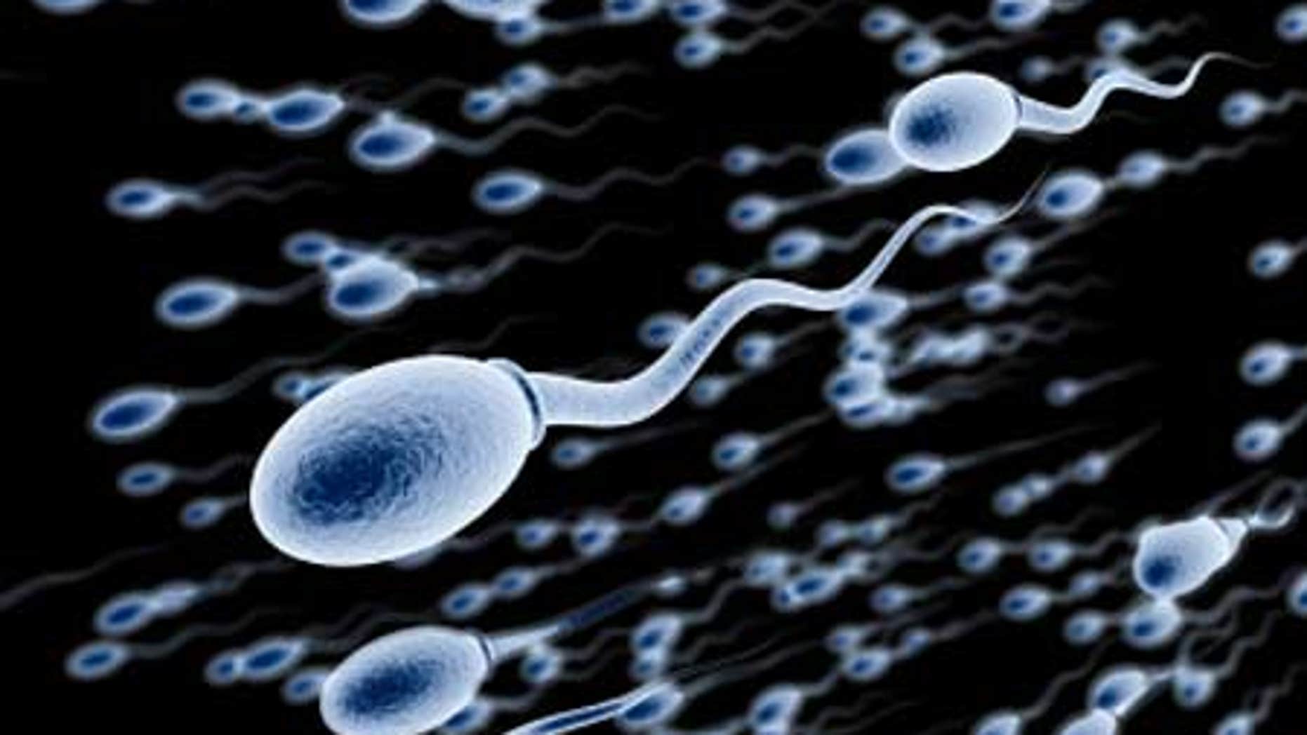 Preventing Male Infertility 12 Natural Ways To Make Healthy Sperm 2002