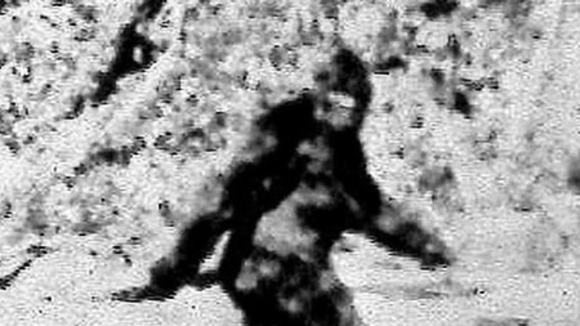 Hunter thought he was firing at Bigfoot, 'victim' tells police Fox News