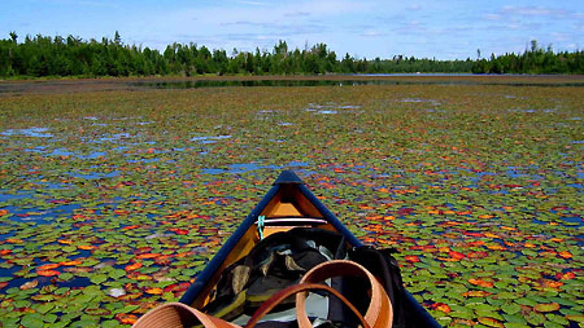 The view from a canoe in the Boundary Waters Canoe Area Wilderness in northern Minnesota.