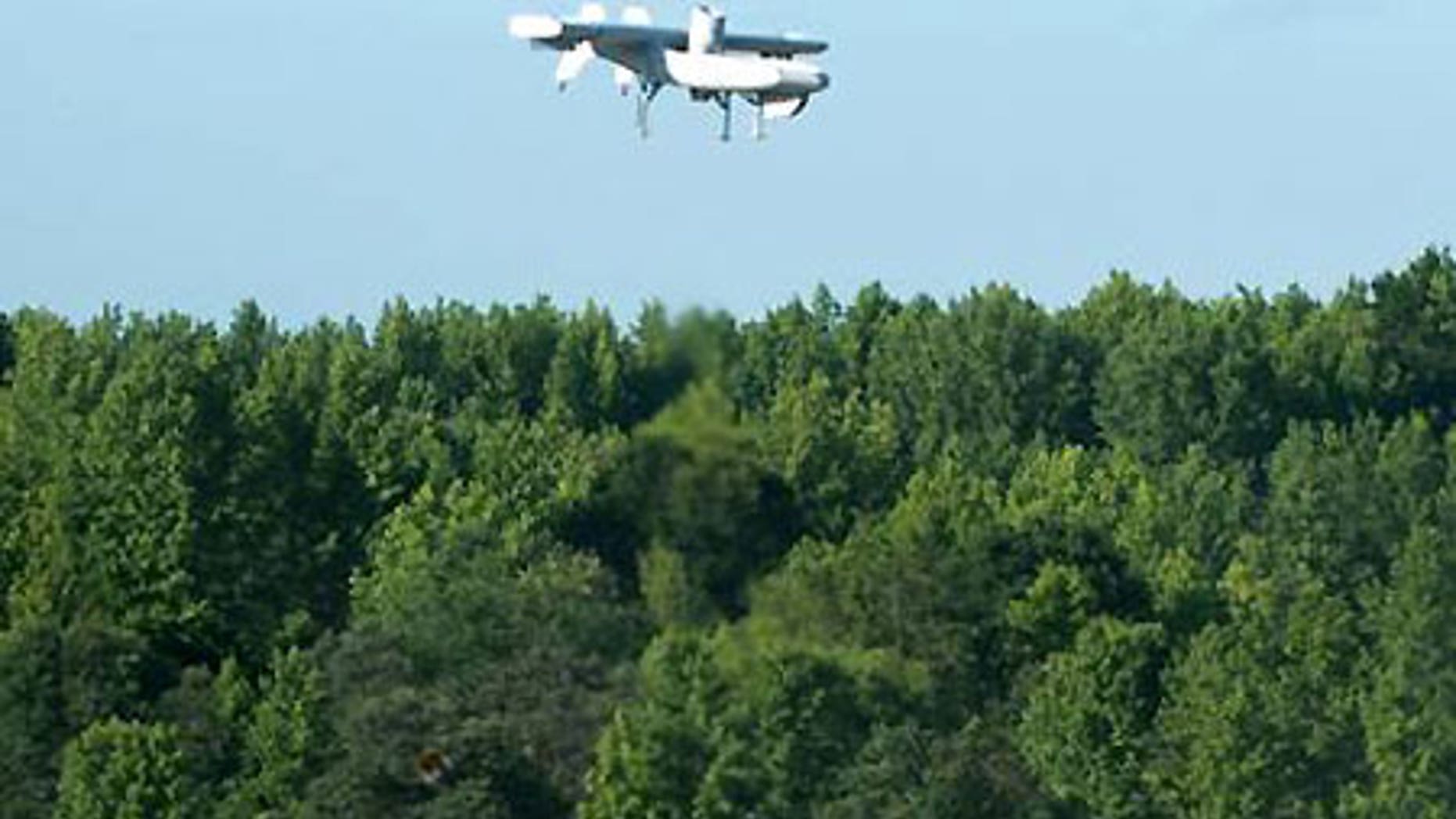 The Excalibur half-scale model in a successful flight test.