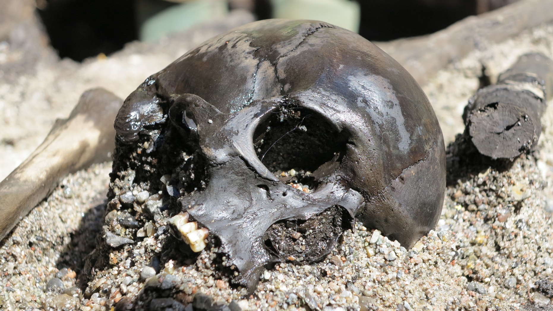 A mass grave uncovered at the Alken Enge wetlands in Jutland, Denmark is giving archaeologists a glimpse into the gruesome post-war practices of Germanic armies.