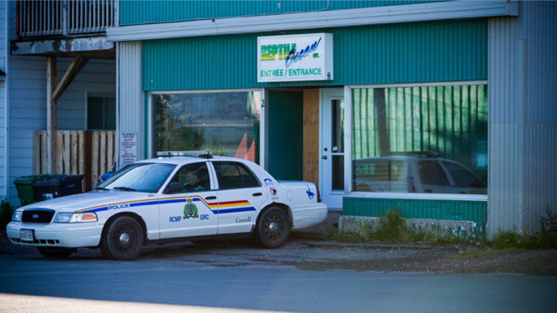Aug. 6, 2013: A Royal Canadian Mounted Police cruiser sits outside the Reptile Ocean exotic pet store in Campbellton, New Brunswick, Canada.