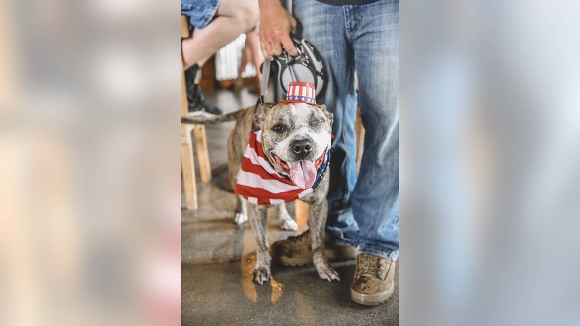 Winx is "loving and caring,” Patrol Officer Timothy Elliot, the dog's new owner, said.