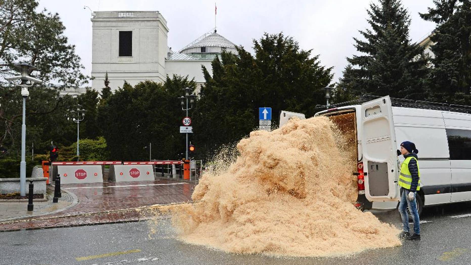 Greenpeace activists unload a cargo of sawdust in front of the Polish parliament in a protest against a law that lifts control of logging trees on private properties, in Warsaw, Poland, Thursday, April 27, 2017. (AP Photo/Alik Keplicz)
