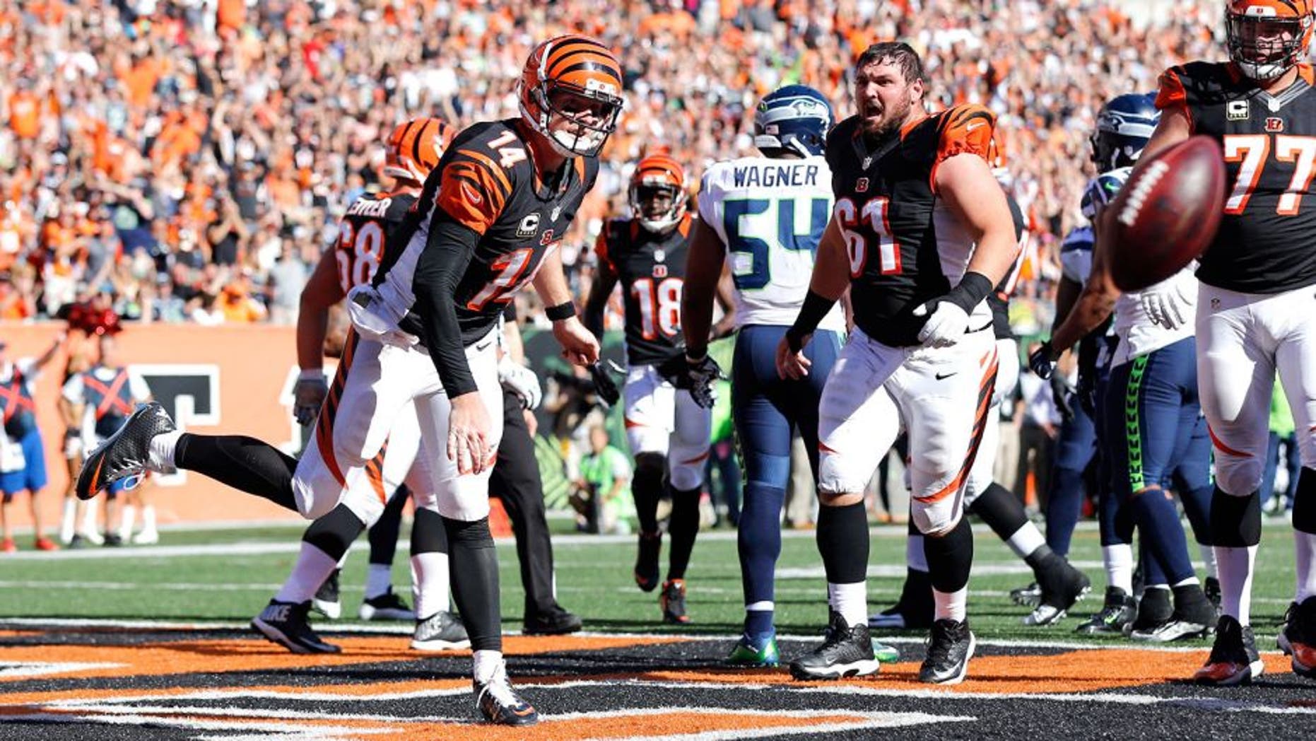 Oct 11, 2015; Cincinnati, OH, USA; Cincinnati Bengals quarterback Andy Dalton (14) spikes the football after scoring a touchdown in the second half against the Seattle Seahawks at Paul Brown Stadium. The Bengals won 27-24. Mandatory Credit: Aaron Doster-USA TODAY Sports