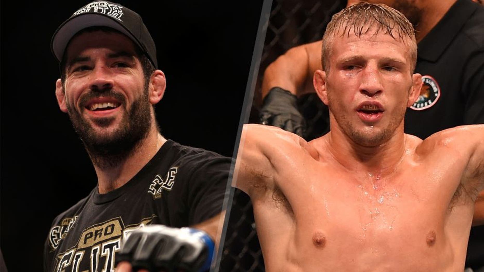 Matt Brown reacts after knocking out Mike Swick during their welterweight bout at the UFC on FOX event on December 8, 2012 at Key Arena in Seattle, Washington. (Photo by Josh Hedges/Zuffa LLC/Zuffa LLC via Getty Images) TJ Dillashaw reacts after his TKO victory over Renan Barao of Brazil in their UFC bantamweight championship bout during the UFC event at the United Center on July 25, 2015 in Chicago, Illinois. (Photo by Jeff Bottari/Zuffa LLC/Zuffa LLC via Getty Images)