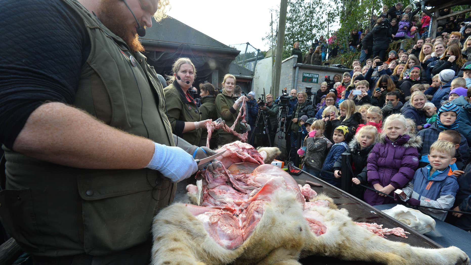 Oct. 15, 2015: Children watch the dissection of a dead male lion in Odense Zoo, Denmark.