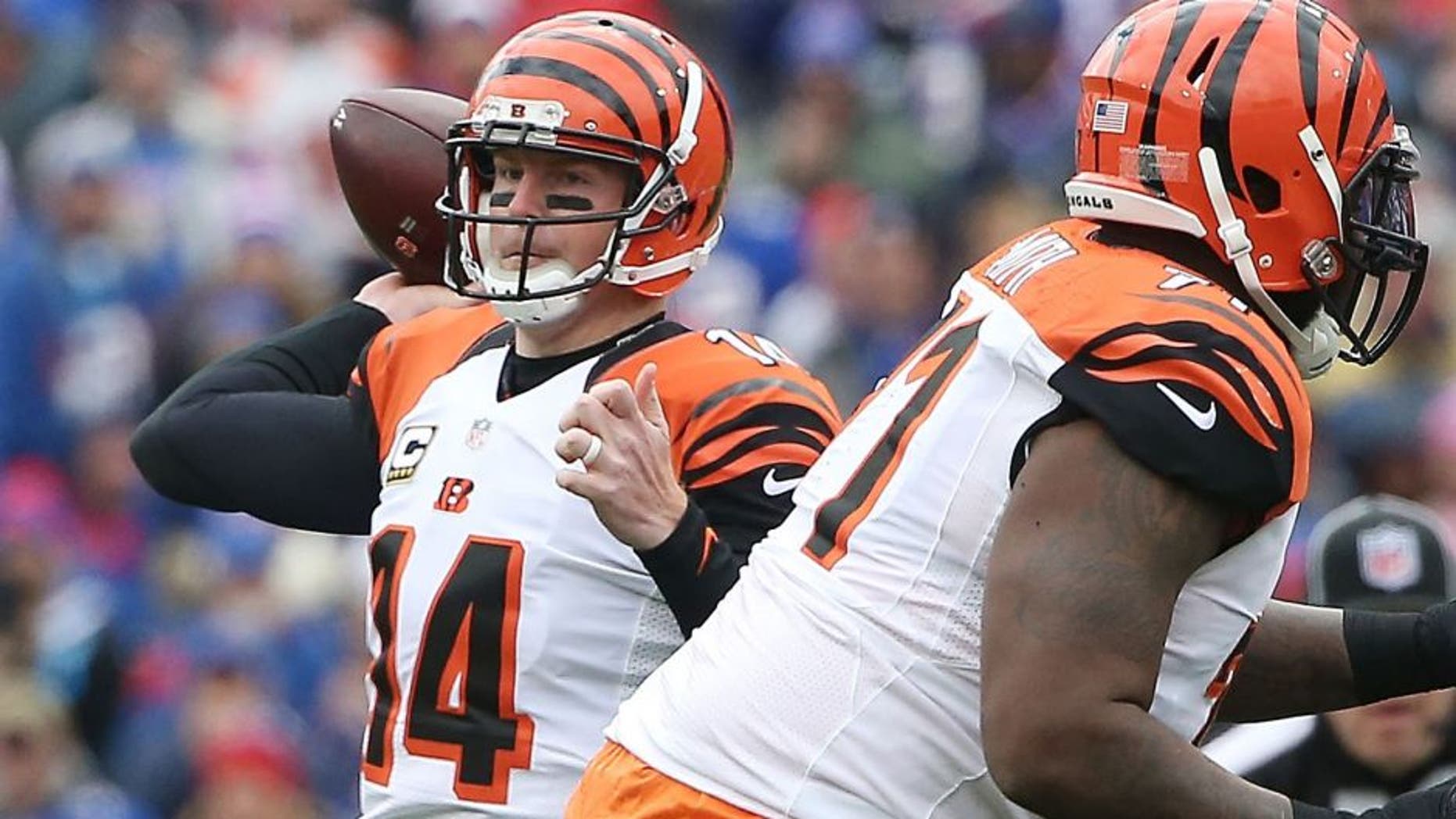 ORCHARD PARK, NY - OCTOBER 18: Andy Dalton #14 of the Cincinnati Bengals looks to throw against the Buffalo Bills during the first half at Ralph Wilson Stadium on October 18, 2015 in Orchard Park, New York. (Photo by Tom Szczerbowski/Getty Images)