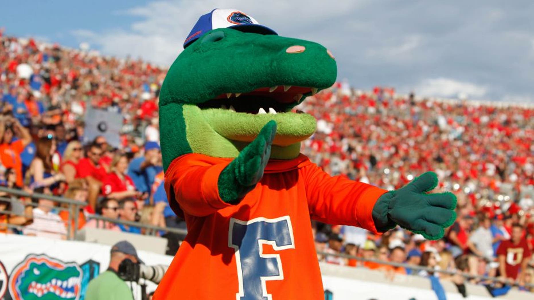 Nov 2, 2013; Jacksonville, FL, USA; Florida Gators mascot, Albert, against the Georgia Bulldogs during the second quarter at EverBank Field. Mandatory Credit: Kim Klement-USA TODAY Sports