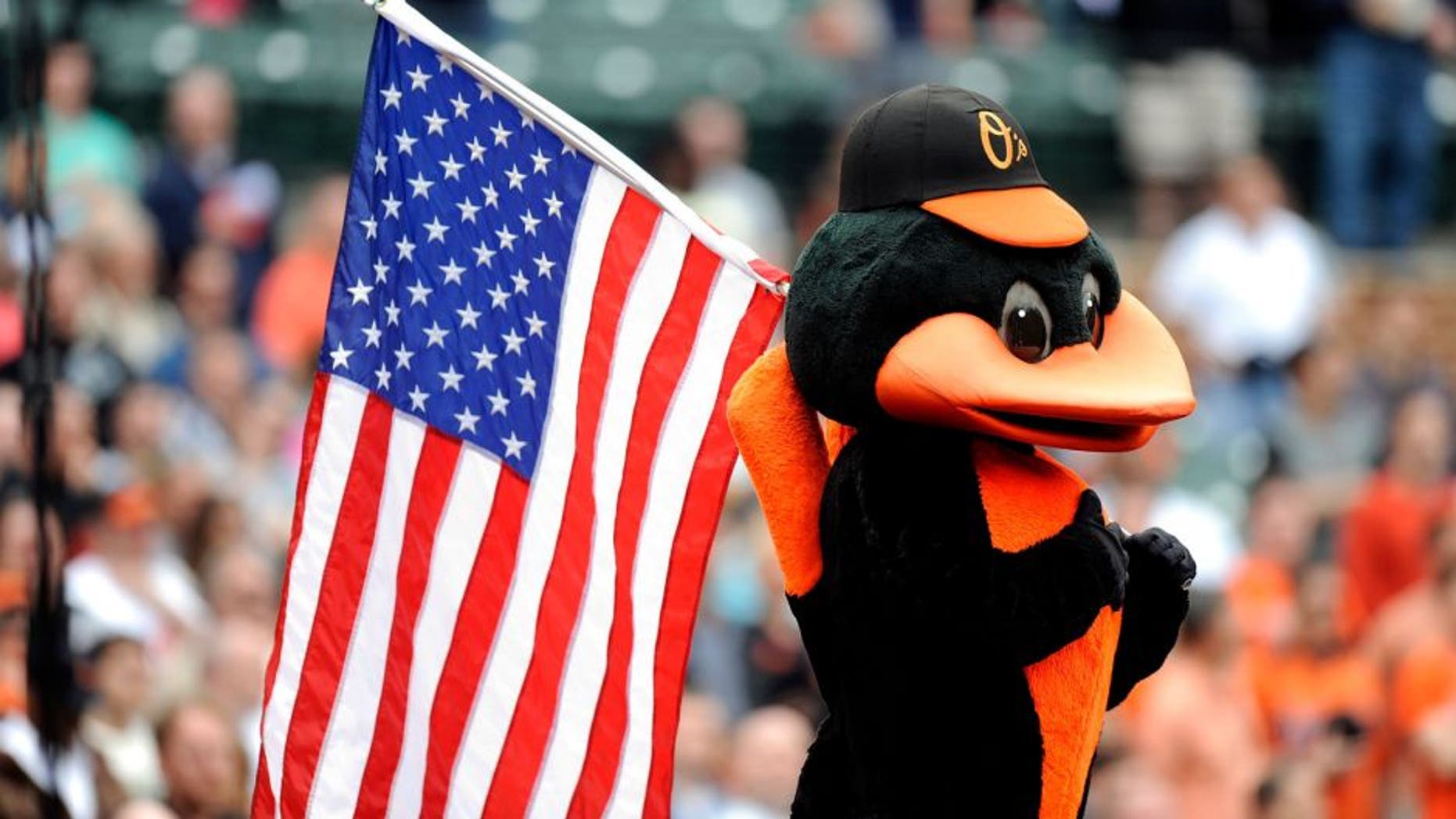 BALTIMORE, MD - MAY 19: The Baltimore mascot holds the American flag during the seventh inning of the game between the Tampa Bay Rays and the Baltimore Orioles at Oriole Park at Camden Yards on May 19, 2013 in Baltimore, Maryland. (Photo by G Fiume/Getty Images)