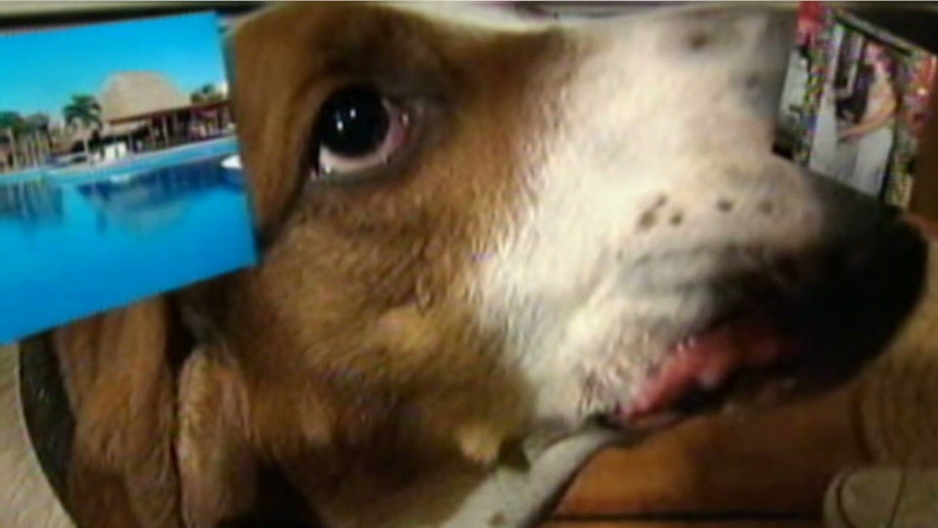 MyFoxBoston.com