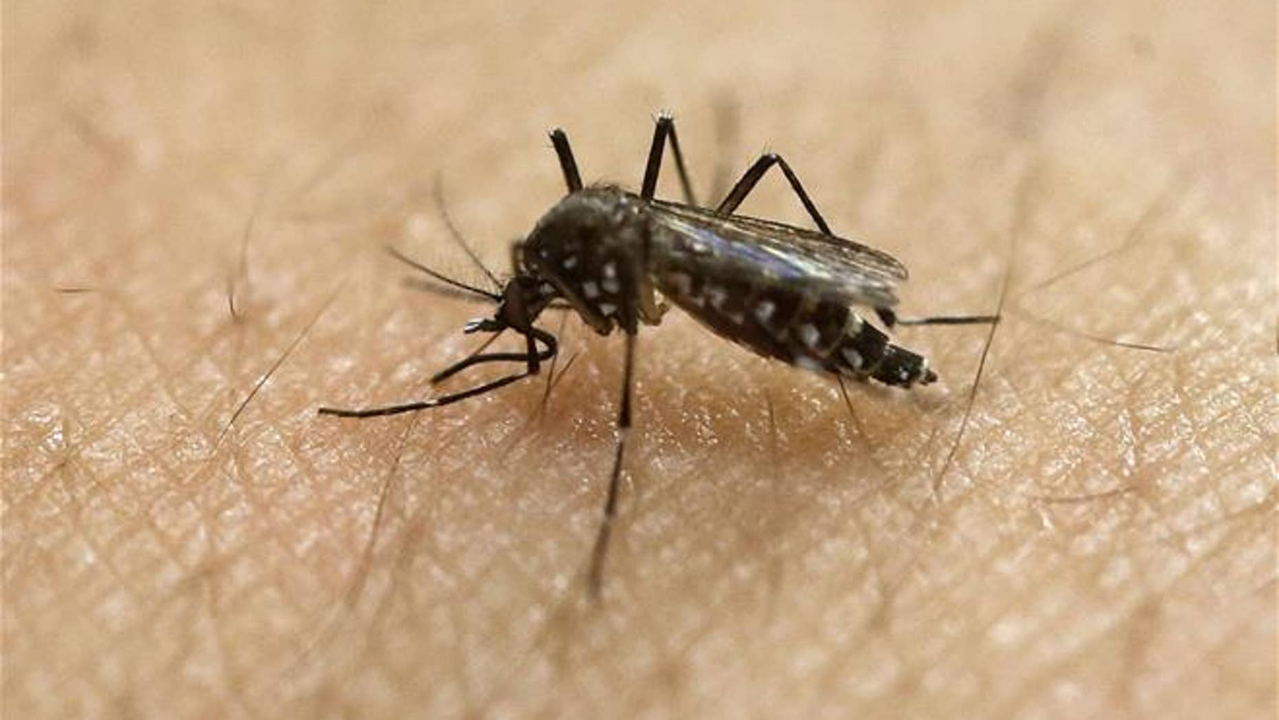 A biotech startup plans to unleash mosquitoes to help wipe out mosquitoes.