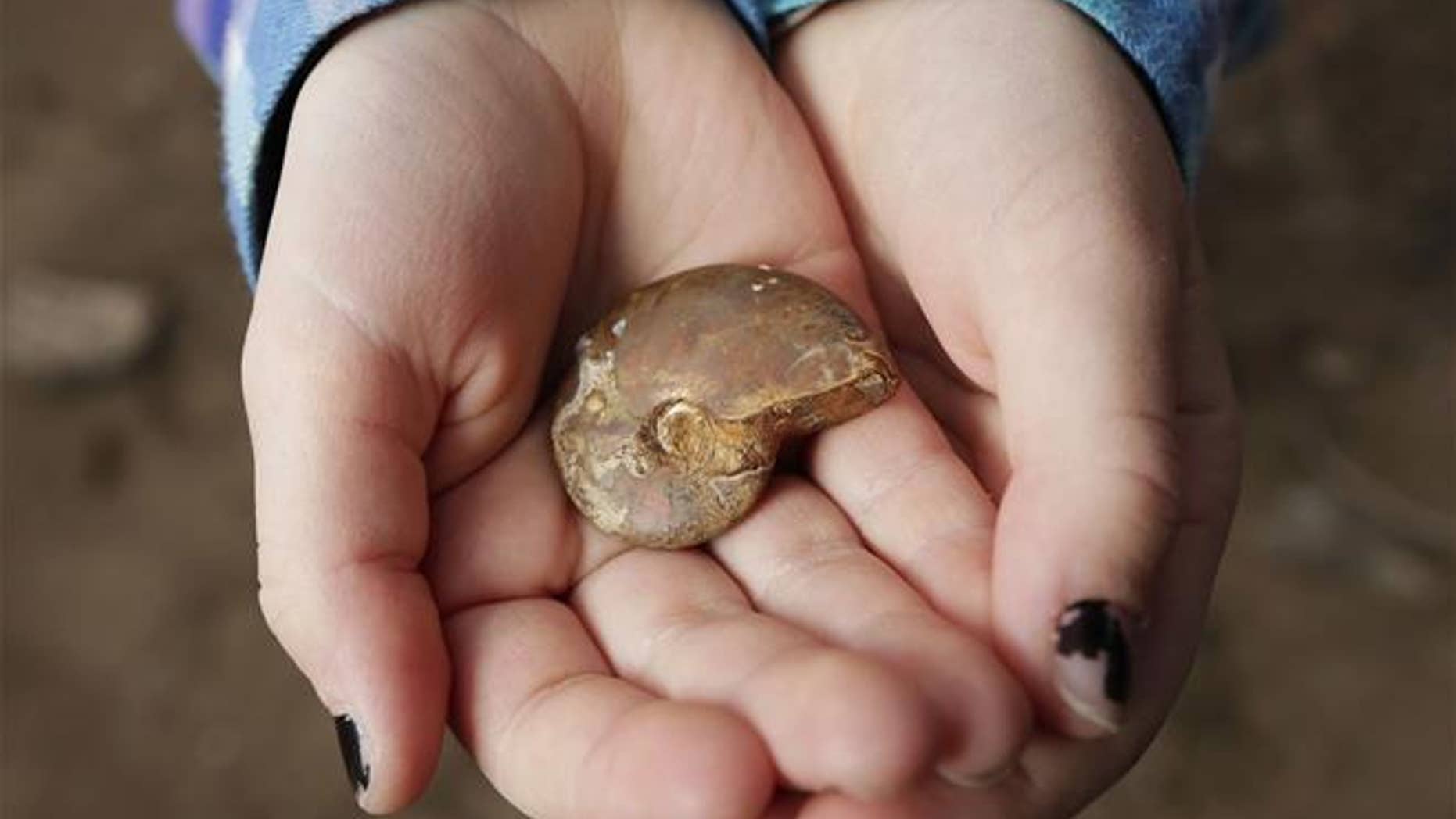 The fossil is at least 65 million years old.