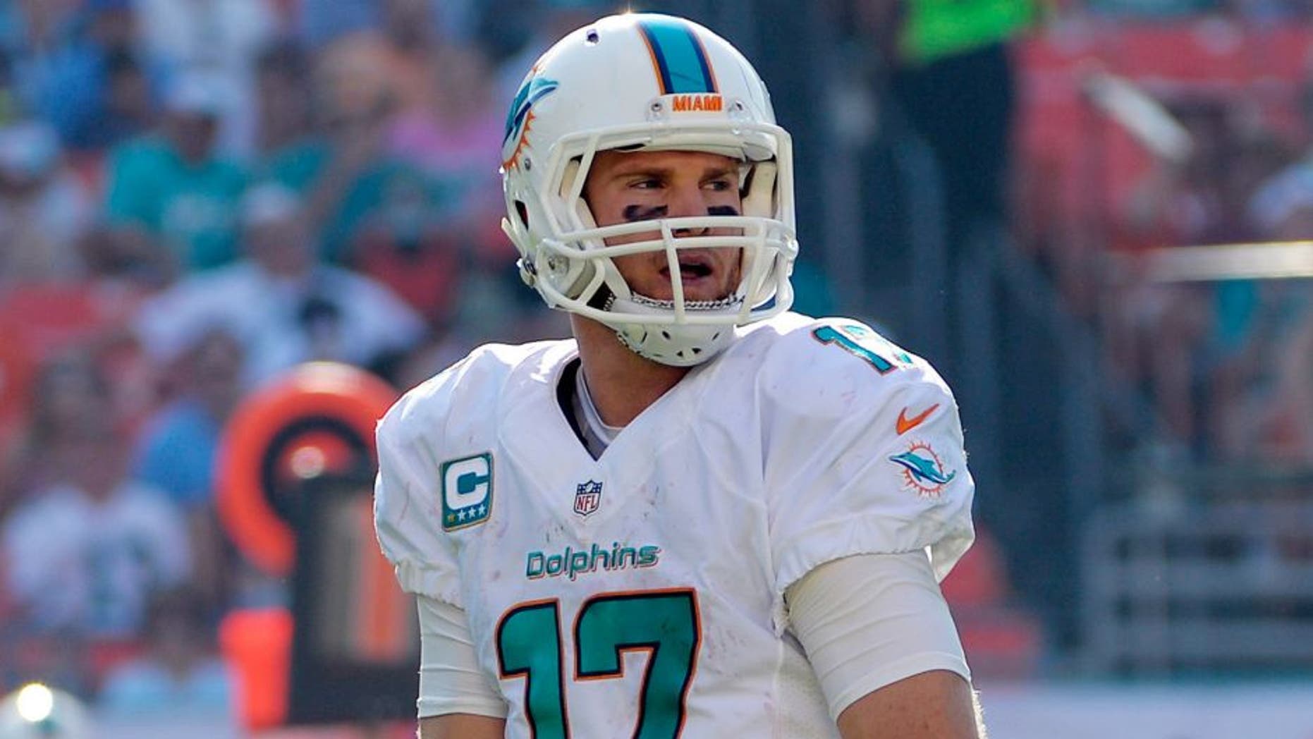 Dec 7, 2014; Miami Gardens, FL, USA; Miami Dolphins quarterback Ryan Tannehill (17) holds the football during the second half against the Baltimore Ravens at Sun Life Stadium. Ravens won 28-13. Mandatory Credit: Steve Mitchell-USA TODAY Sports