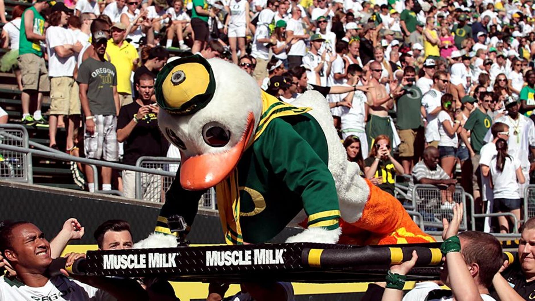 Aug 31, 2013; Eugene, OR, USA; Oregon Ducks mascot does pushups following a touchdown against the Nicholls State Colonels at Autzen Stadium. Mandatory Credit: Scott Olmos-USA TODAY Sports
