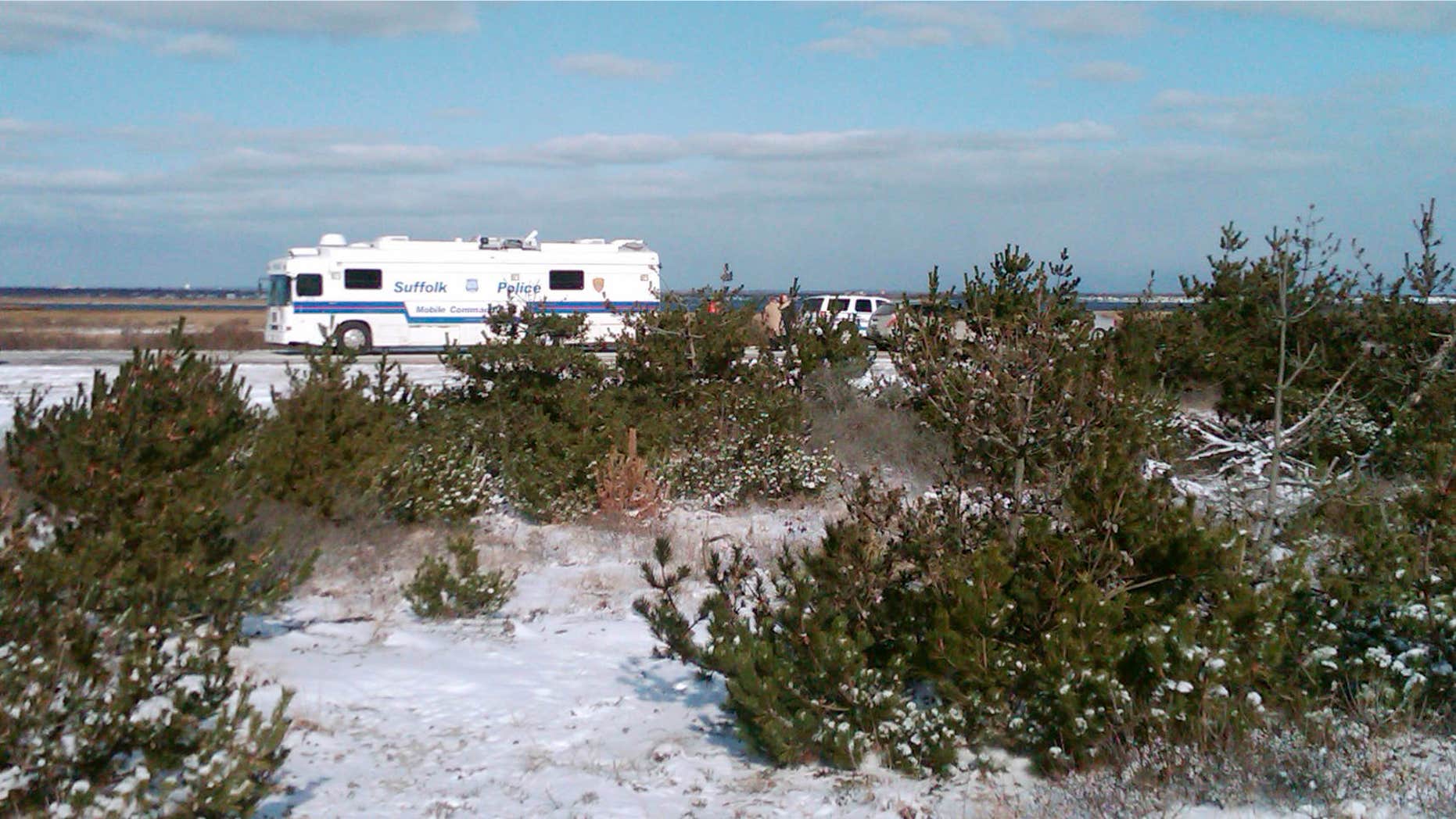 FILE - In this Dec. 14, 2010 file photo, Suffolk County Police conduct a search along a beachfront road in Babylon, N.Y., where four bodies were found.