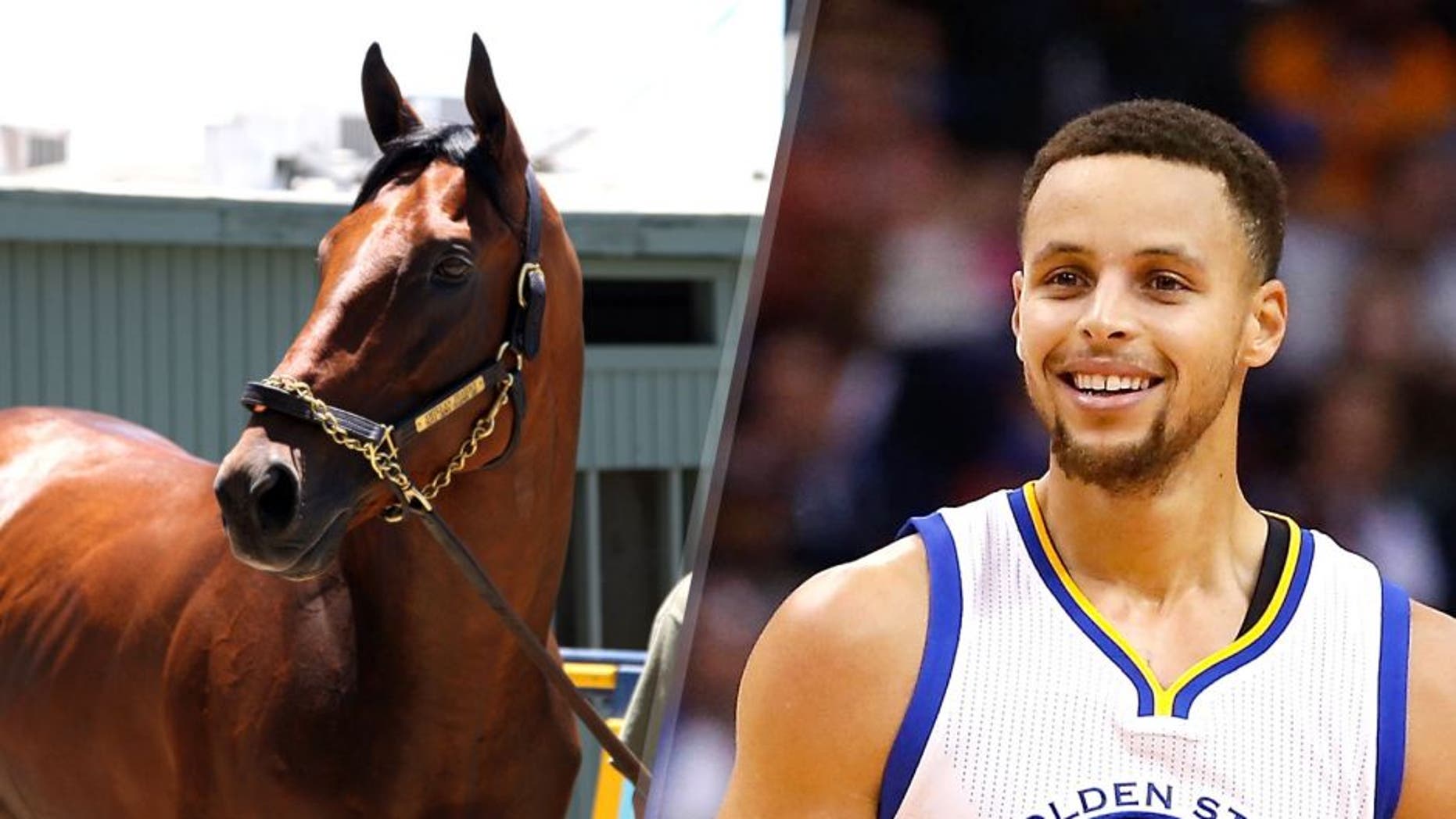 ARCADIA, CA - JUNE 18: American Pharoah in portrait at Santa Anita Park, Race Track at June 18, 2015 (Photo by Cecilia Gustavsson /Getty Images) PHOENIX, AZ - NOVEMBER 27: Stephen Curry #30 of the Golden State Warriors during the NBA game against the Phoenix Suns at Talking Stick Resort Arena on November 27, 2015 in Phoenix, Arizona. The Warriors defeated the Suns 135-116. NOTE TO USER: User expressly acknowledges and agrees that, by downloading and or using this photograph, User is consenting to the terms and conditions of the Getty Images License Agreement. (Photo by Christian Petersen/Getty Images)
