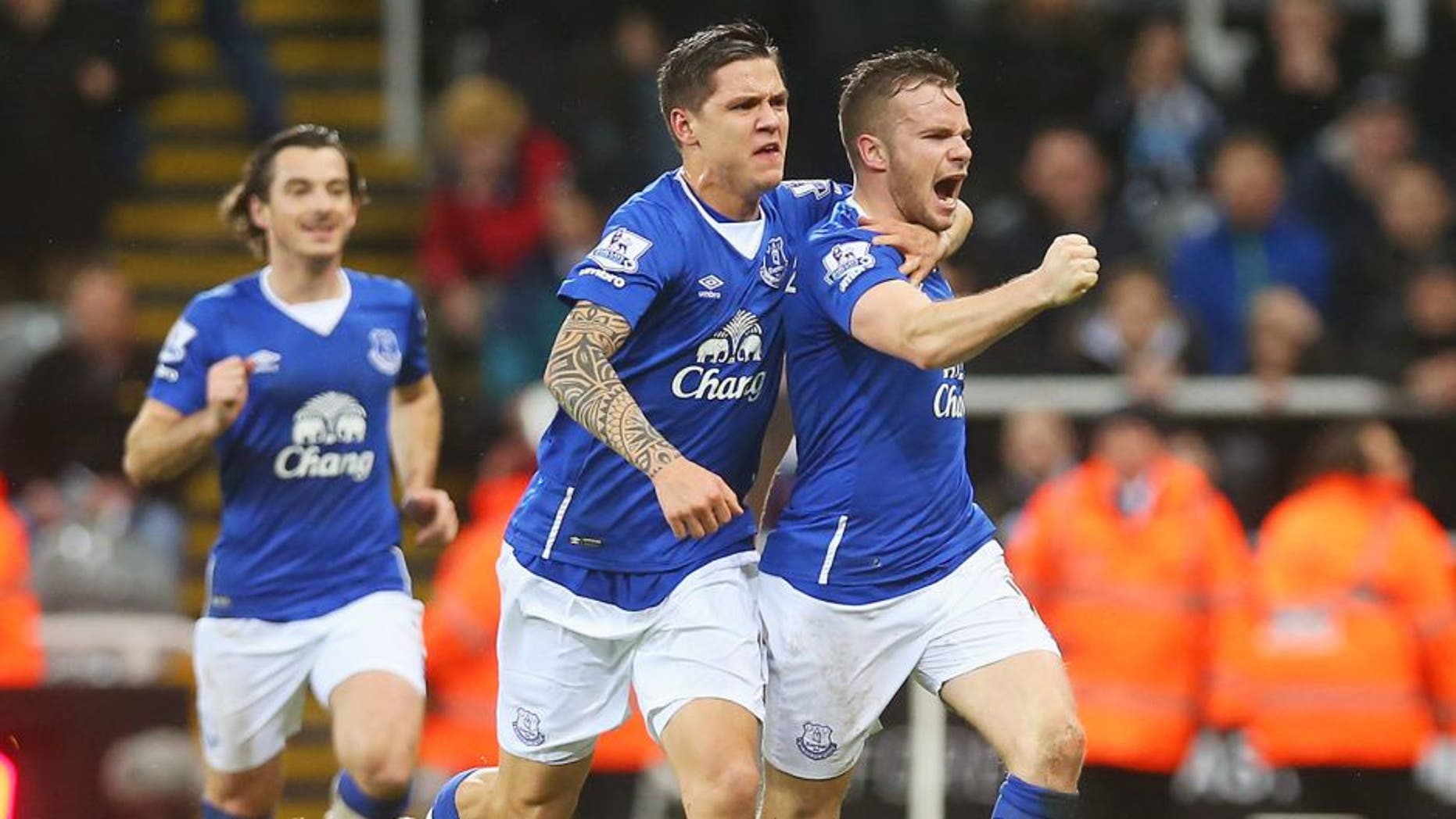NEWCASTLE UPON TYNE, ENGLAND - DECEMBER 26: Tom Cleverley of Everton (R) celebrates with team mate Muhamed Besic as he scores their first goal during the Barclays Premier League match between Newcastle United and Everton at St James' Park on December 26, 2015 in Newcastle upon Tyne, England. (Photo by Ian MacNicol/Getty Images)