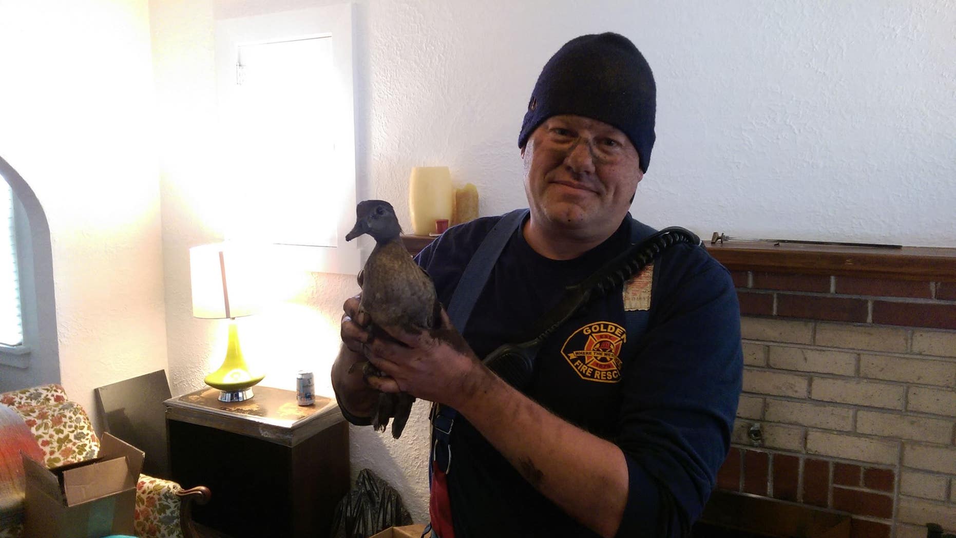Firefighters saved a duck from a chimney on Saturday.
