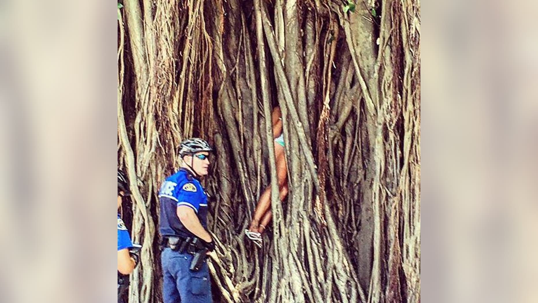 A woman became stuck inside a banyan tree.
