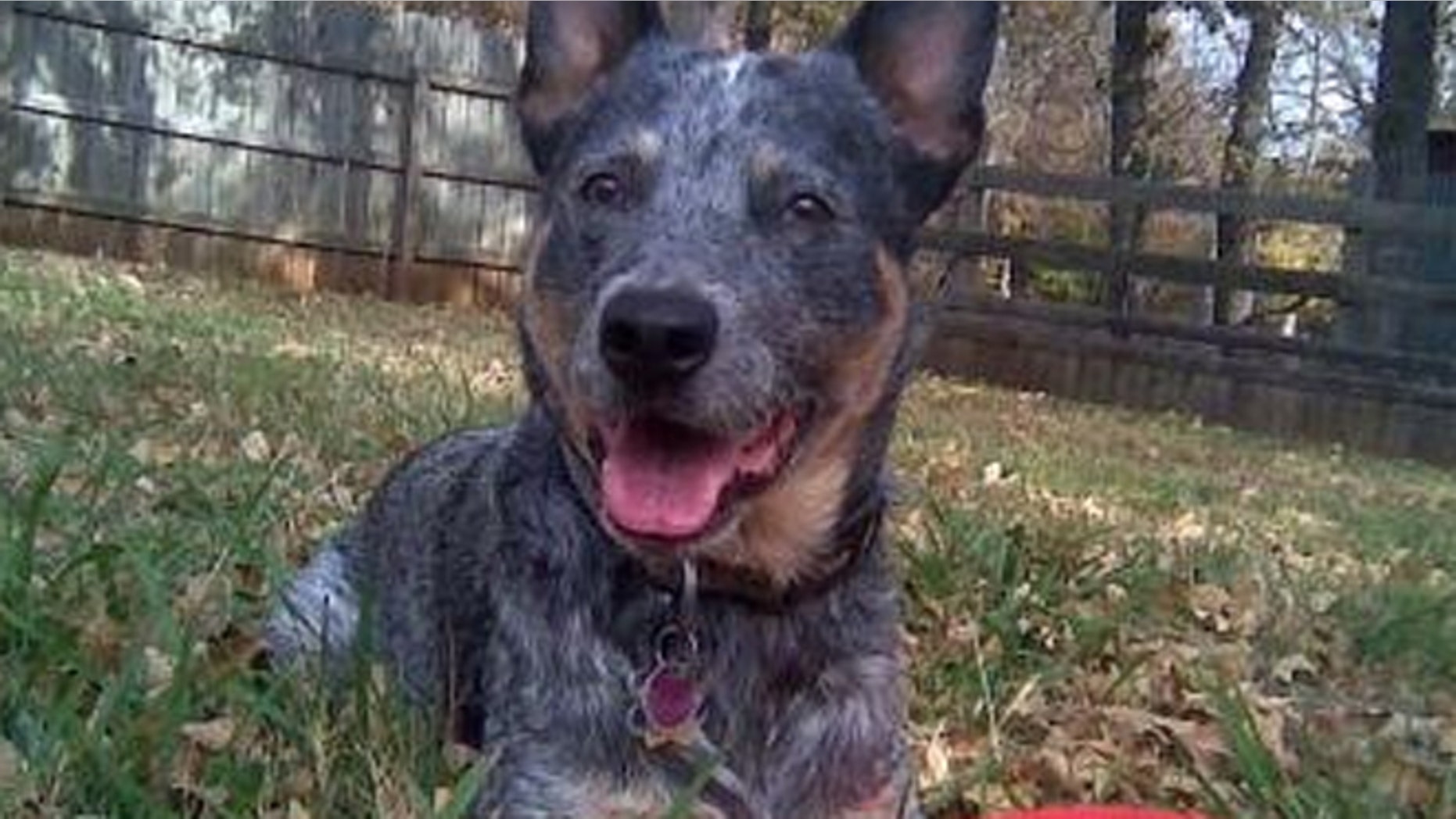 Cisco was allegedly shot and killed by an Austin police officer.