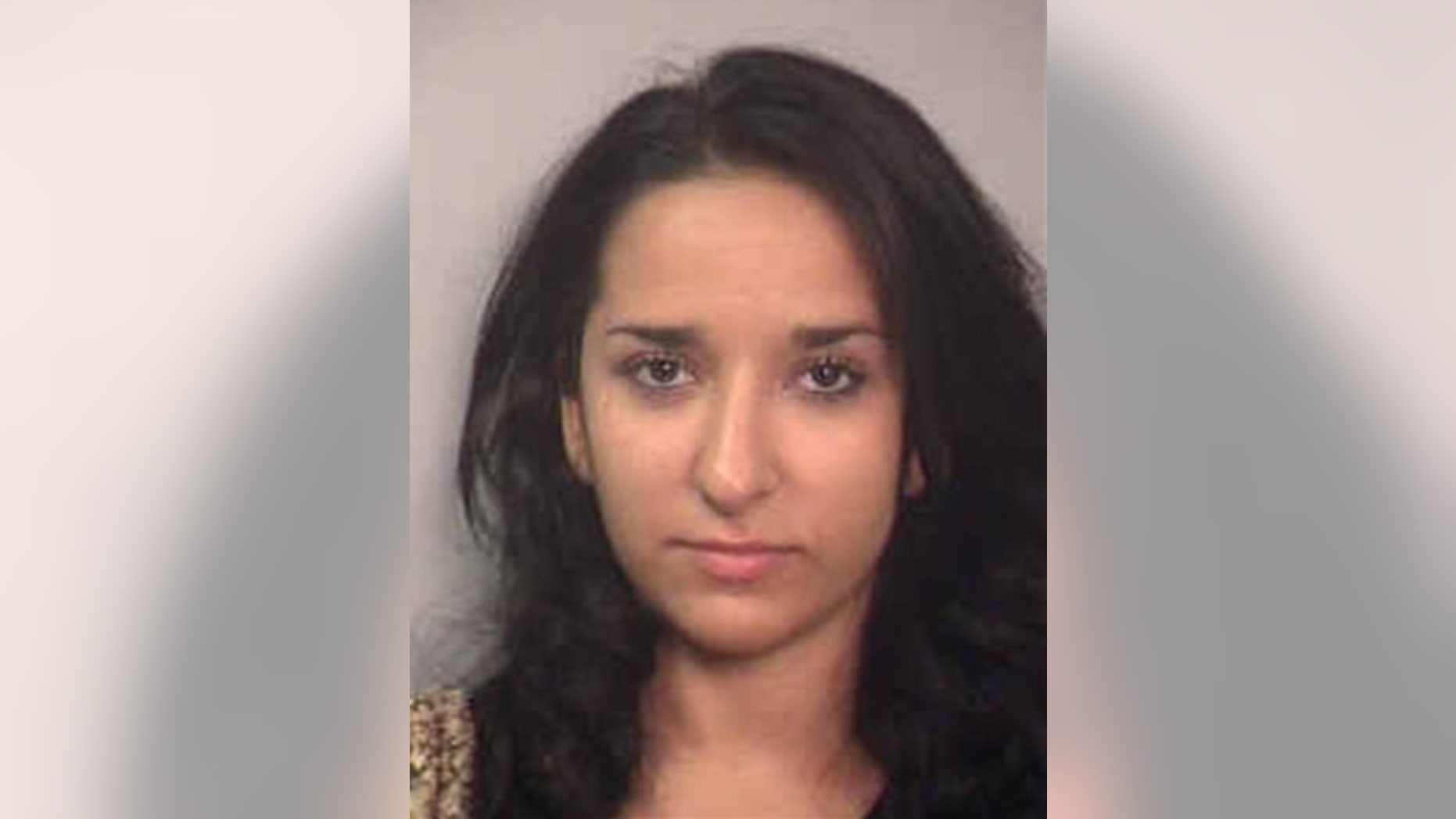 Sahel Kazemi is shown in this undated booking photo from the Davidson County Sheriff.