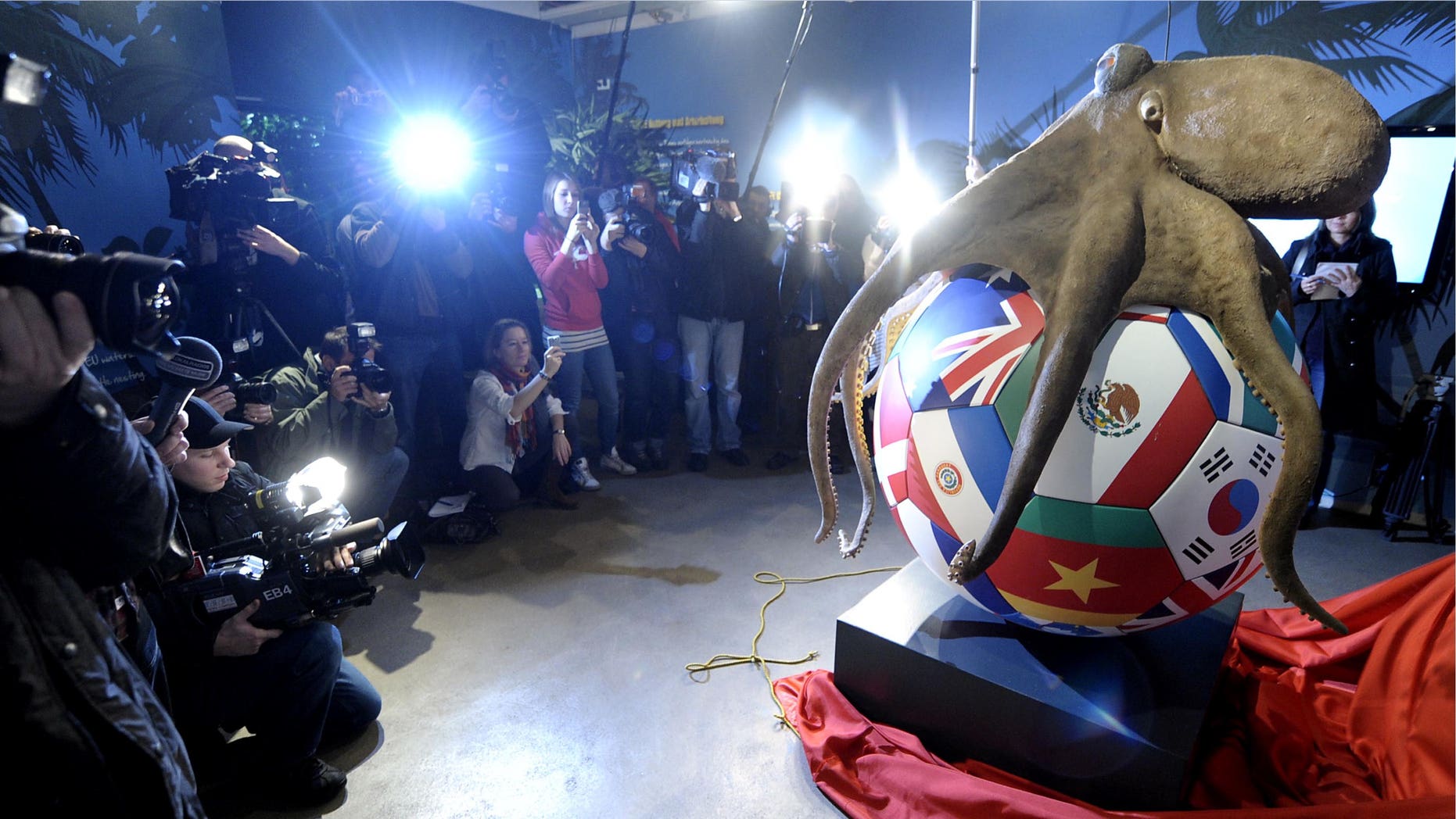 Photographers surround the monument of Paul the octupus at Sea Life aquarium in Oberhausen, western Germany Thursday Jan. 20, 2011.The two-meter-tall statue has been revealed for Paul the Octopus, the tentacled tipster who fascinated football fans by correctly predicting results at last year's World Cup. A spokeswoman for the Oberhausen aquarium, where Paul lived until he died three months ago, said Thursday the statue was erected because fans from around the world had asked for a place of remembrance for the psychic mollusk. Tanja Munzig said the cremated ashes of Paul were placed in a gold-leaf-covered urn inside an oversized football that is part of the Paul monument. (AP Photo/Dapd/ Volker Hartmann)