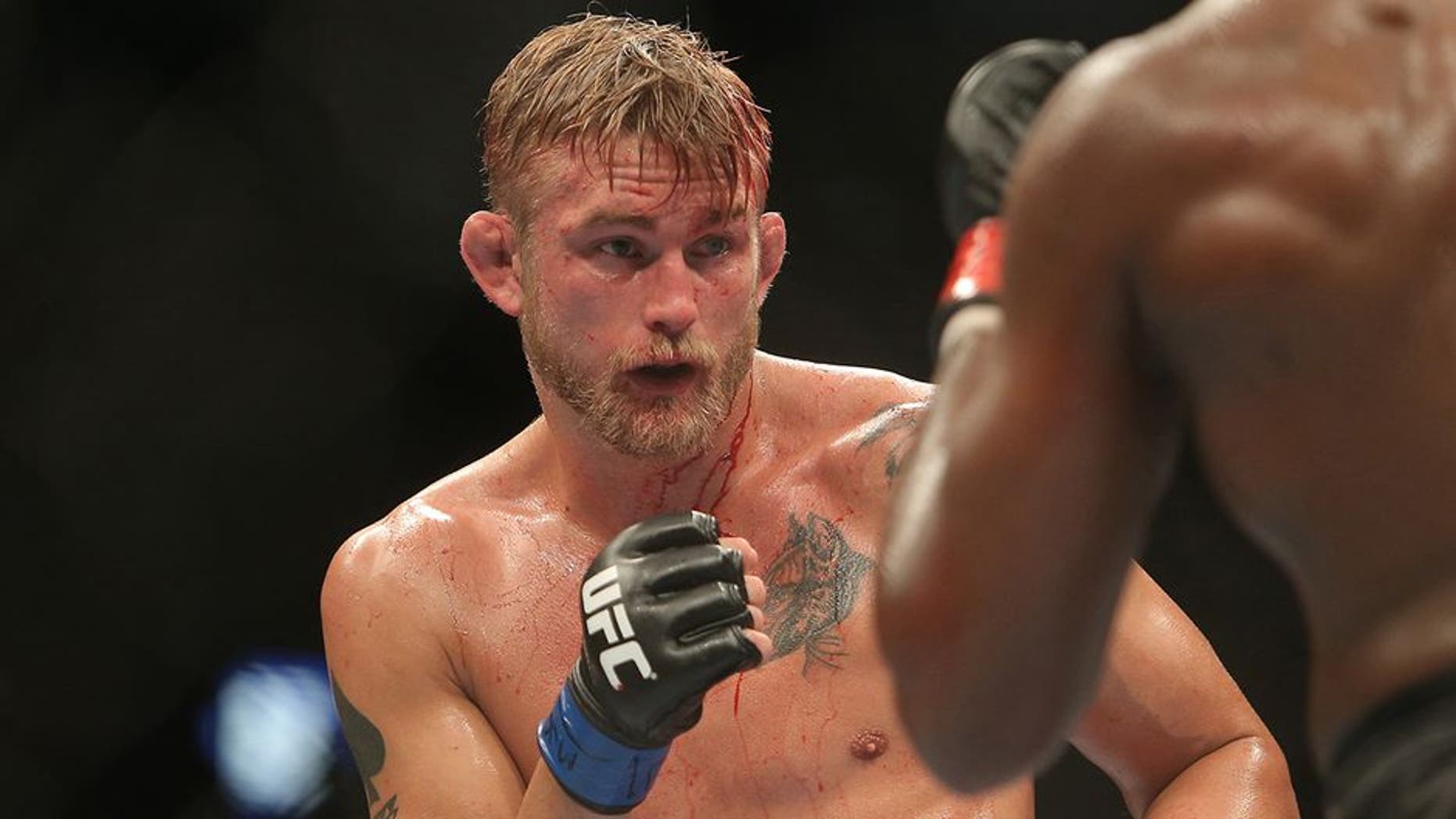 Sep 21, 2013; Toronto, Ontario, CAN; Alexander Gustafsson (left) fights Jon Jones during their Light Heavyweight Championship bout at UFC 165 at the Air Canada Centre. Mandatory Credit: Tom Szczerbowski-USA TODAY Sports