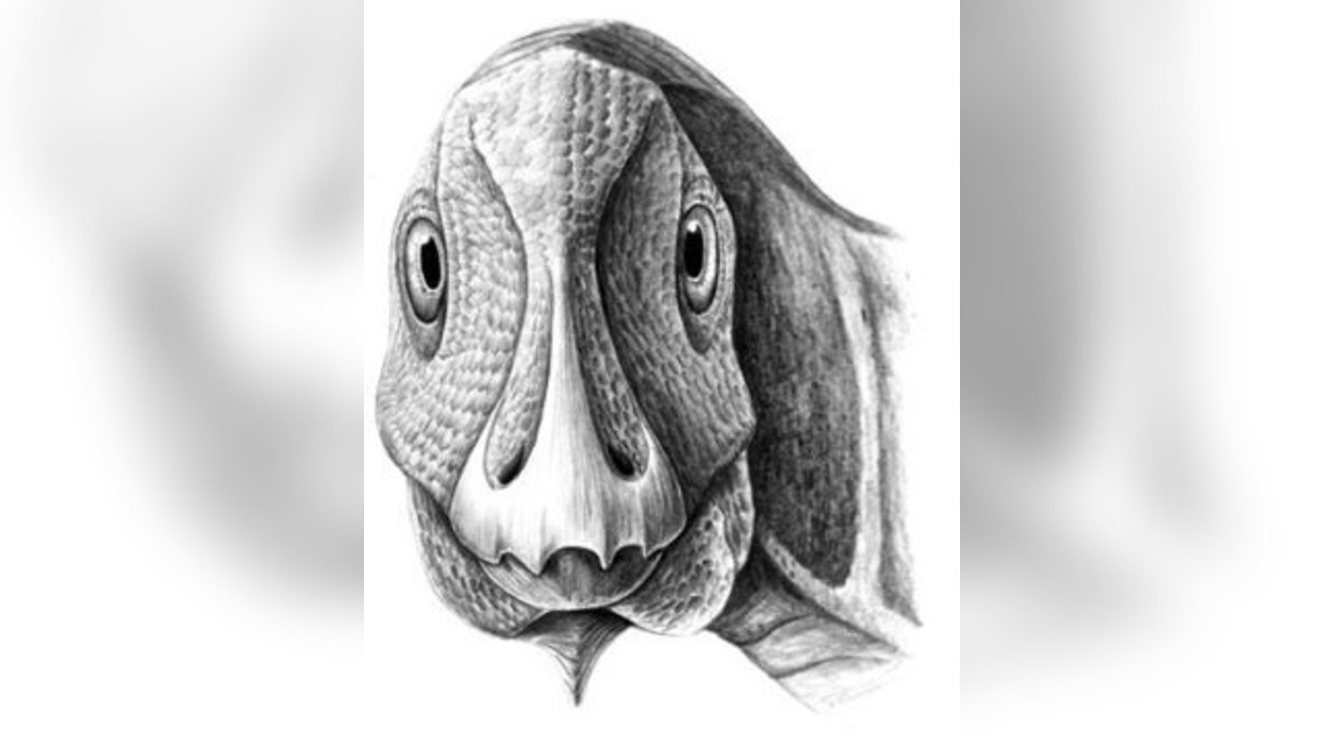 Reconstruction of the young, deformed Telmatosaurus individual, with the ameloblastoma just becoming visible on its lower left jaw.