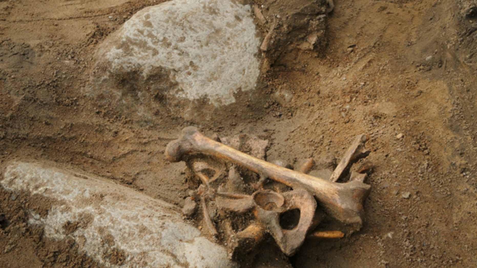 The 16th-century man's remains were originally found in a shallow grave "in a crouched position," suggesting that this was not a ceremonial burial.