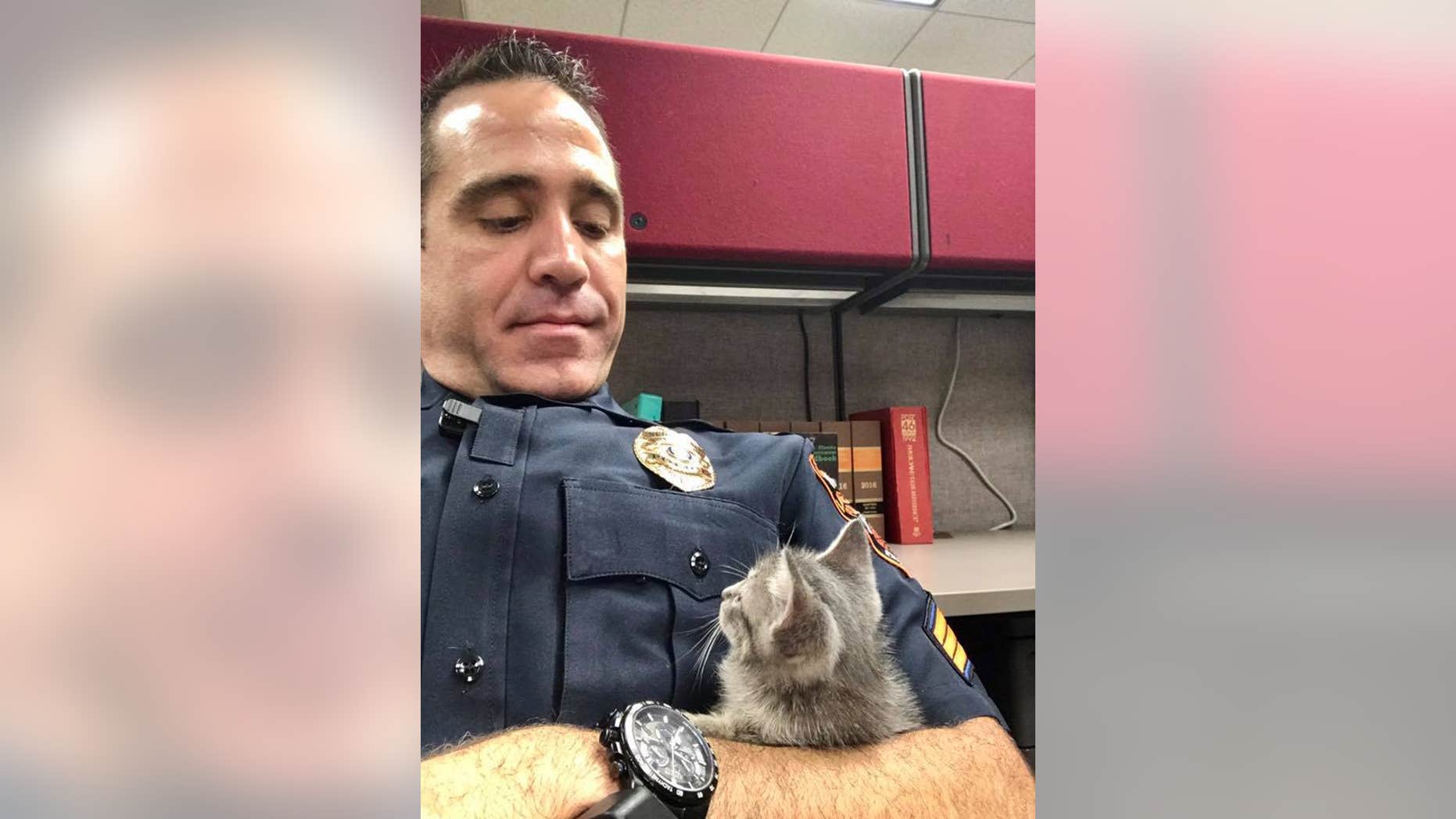 The kitten got a new home after a police officer found the animal in Lakeland, Florida.