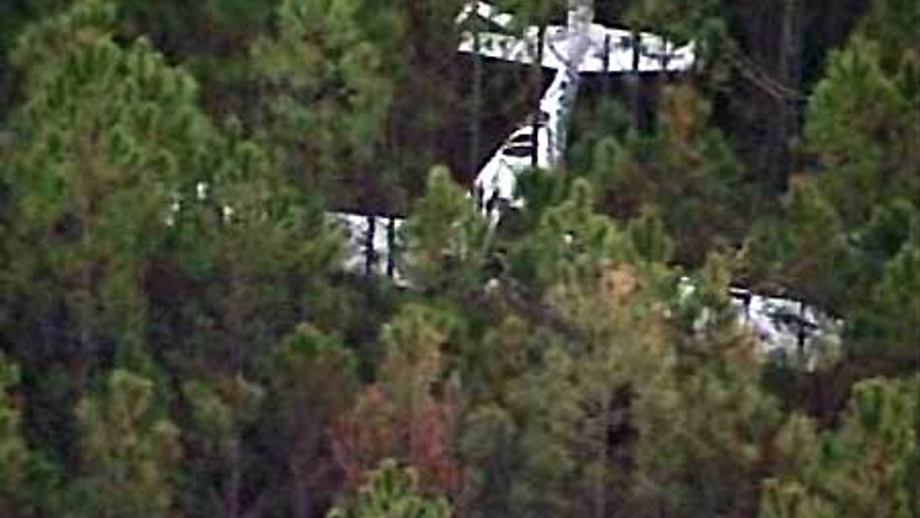 Feb. 18: This aerial image shows the site of a plane crash in Volusia County, Fla.