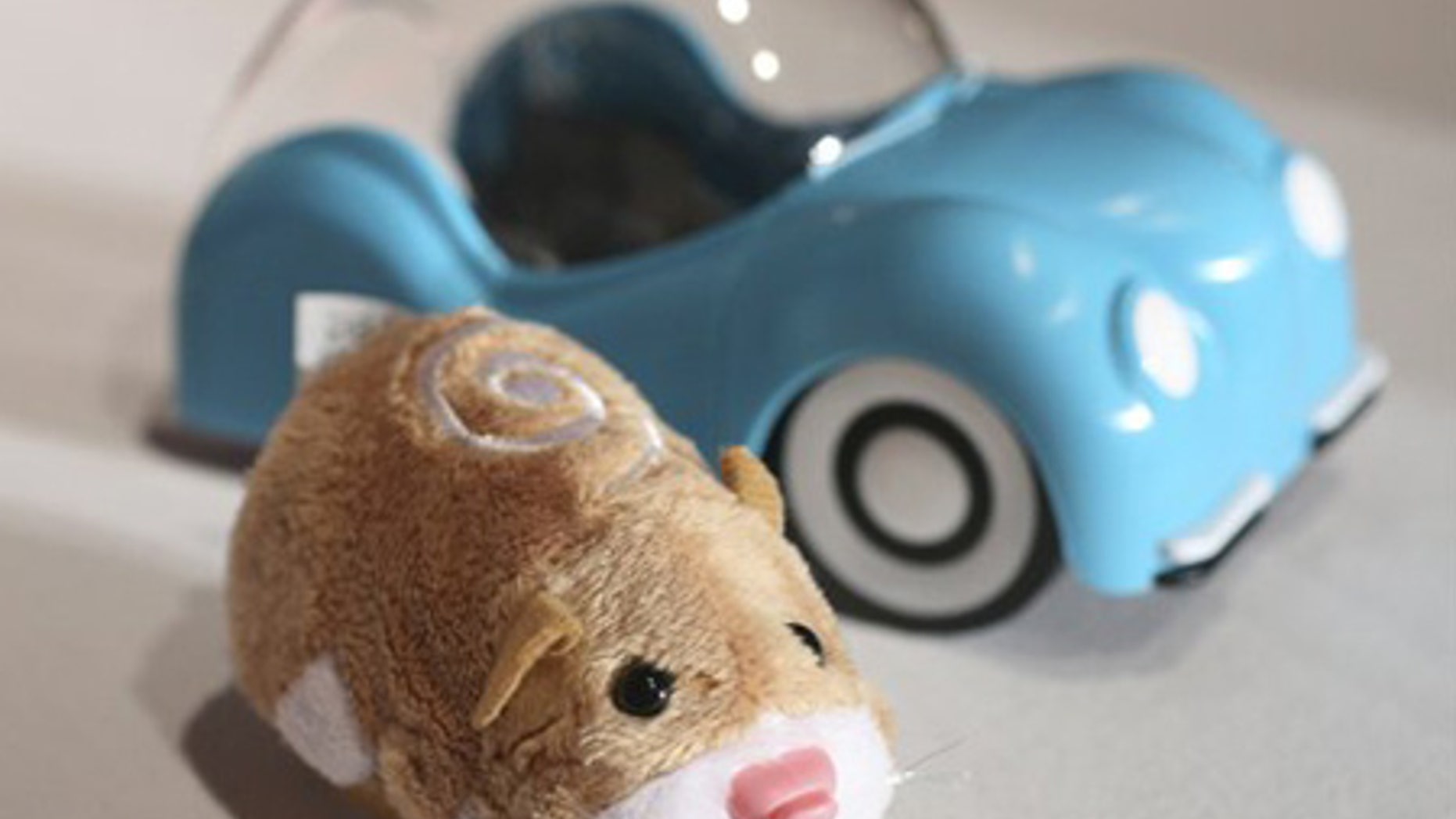 A hamster from Zhu Zhu Pets is seen.