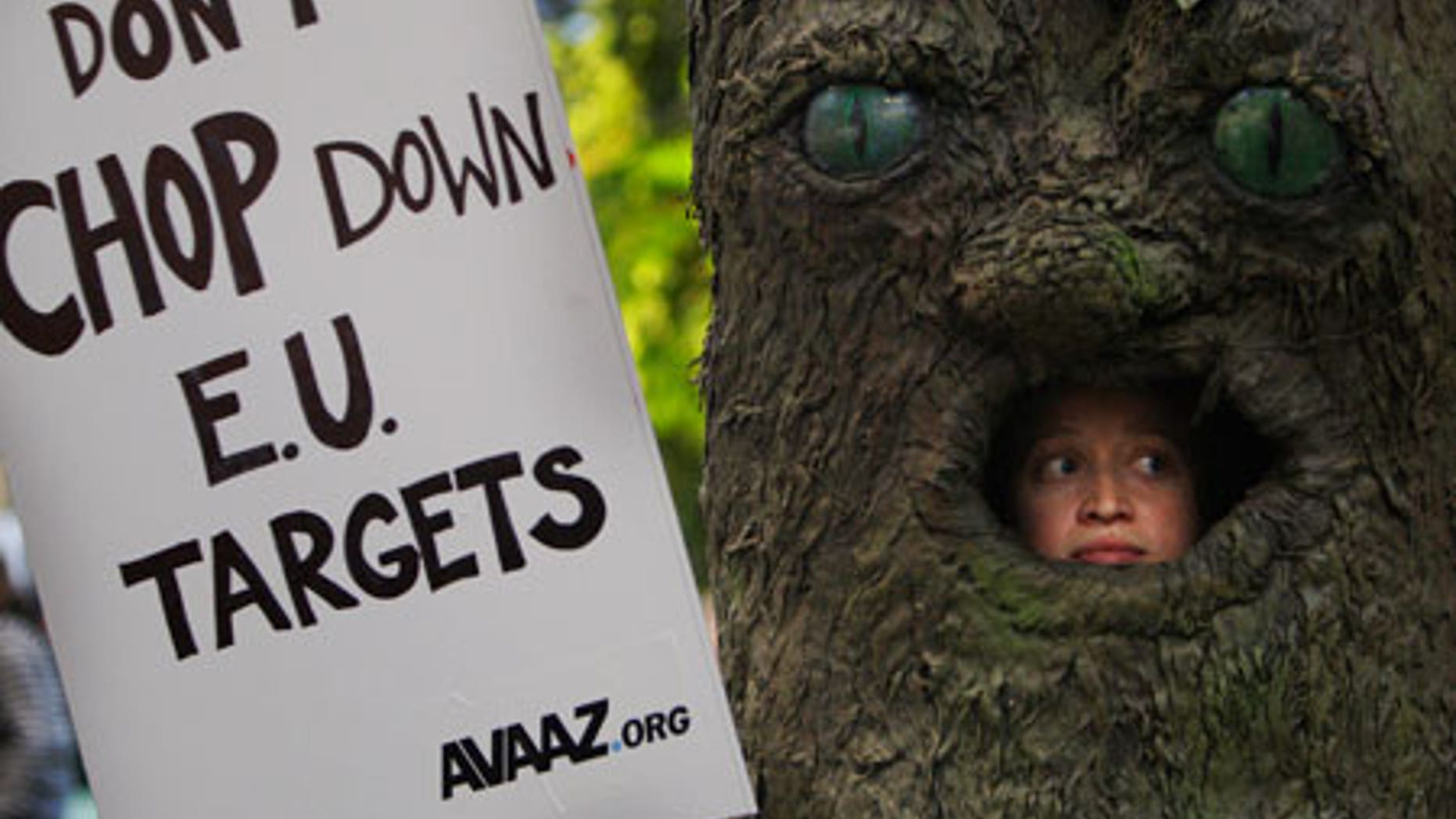 Dec. 8: An activist looks out of a giant tree as he participates in a demonstration against the cutting of trees at the U.N. Climate Summit in Copenhagen.