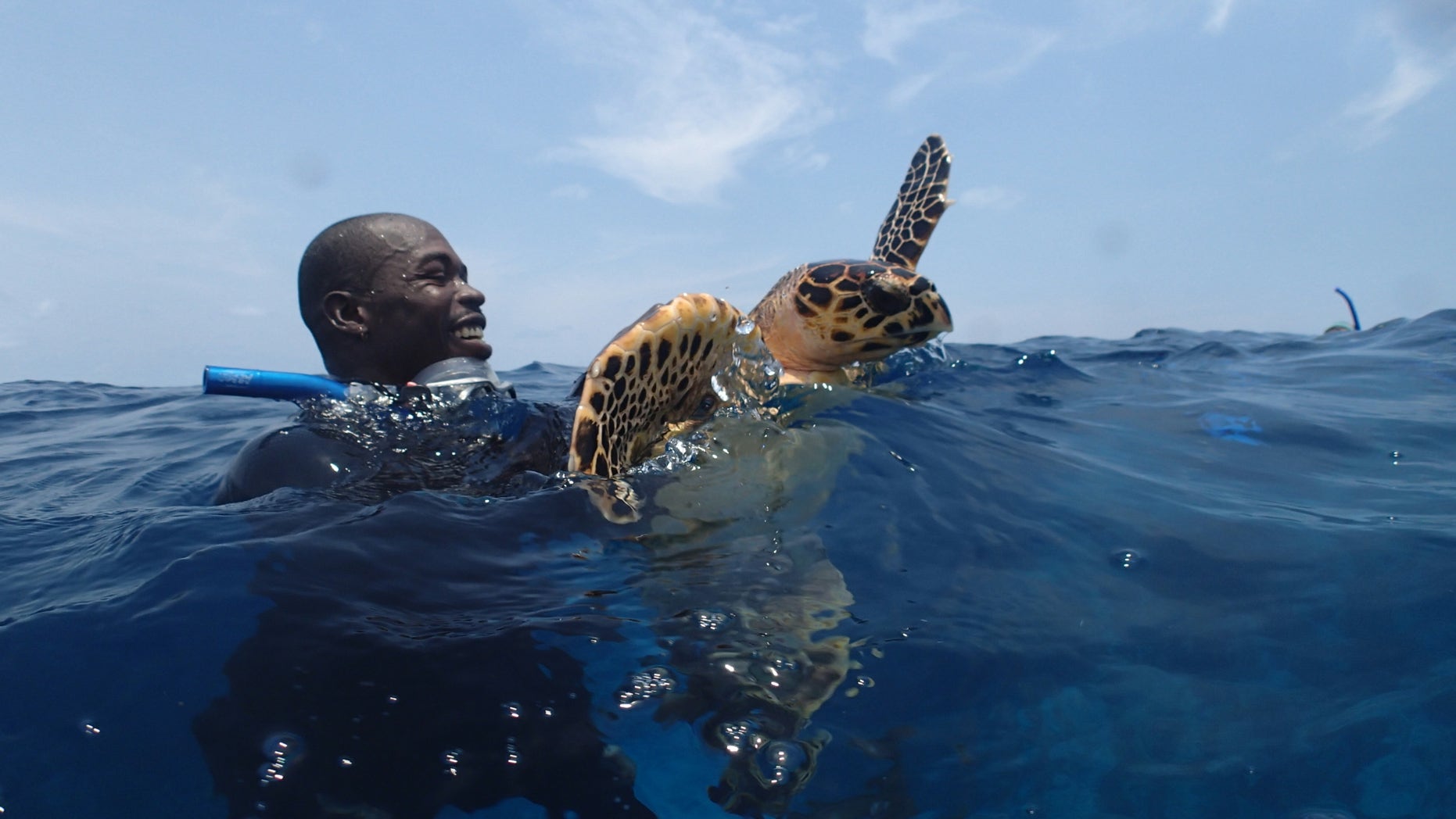 : A marine scientist holding a hawksbill sea turtle.