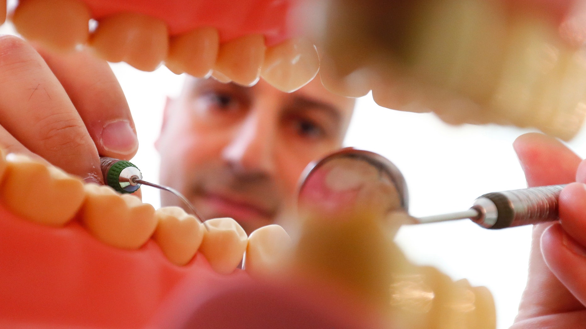 Dentist Sevan Arzuyan poses for an illustration picture with a teeth model at his surgery room in Hanau near Frankfurt, Germany, March 7, 2016. REUTERS/Kai Pfaffenbach - RTSB1YZ